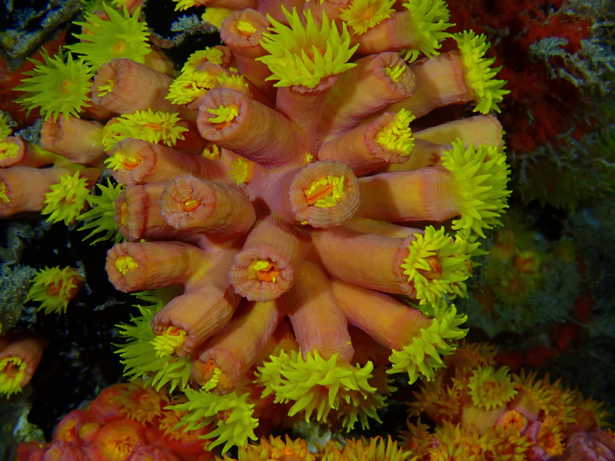 Beautiful conditions in the water today!