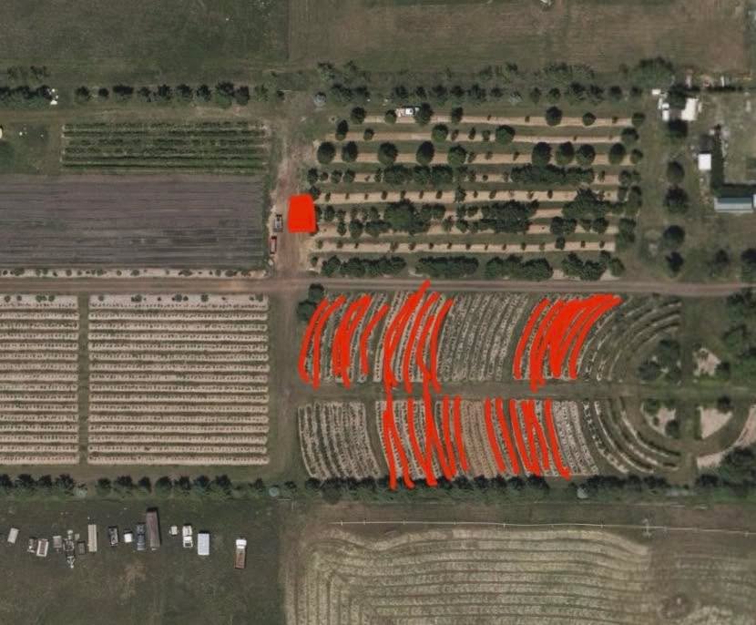 Y’all cleaned out the strawberries today.
Blueberries will remain open tomorrow, Sunday the 25th. All day.