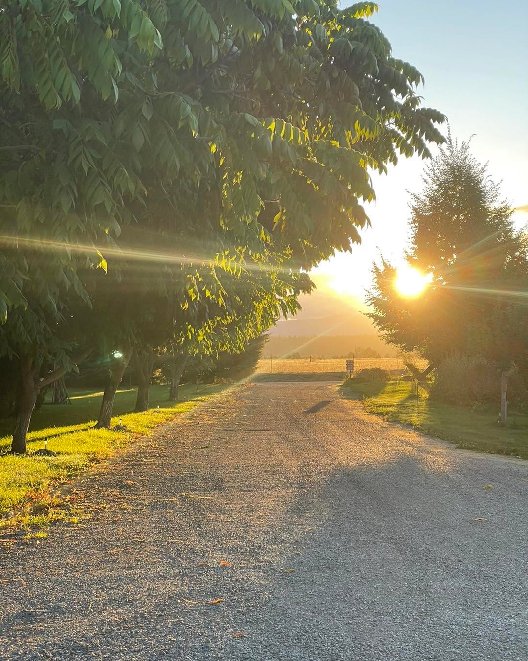 We are calling it a wrap for the year. Thank you to everyone who came out this season!