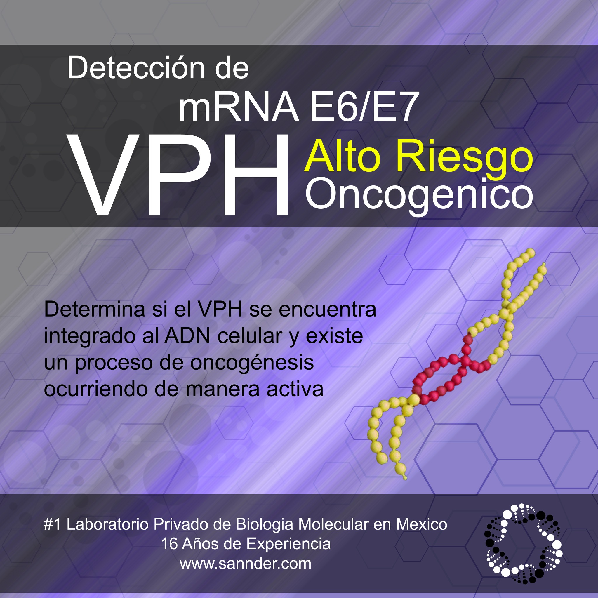 Detección de mRNA E6/E7 para pacientes portadoras de VPH de alto riesgo oncogenico.
#1 Laboratorio privado de Biologia Molecular en Mexico
16 años de experiencia
#sannder #sannderoficial #biologiamolecular #pcr #VPH #cancercervix #cancercervical #cancercervicouterino #Papanicolaou #checate #cuidate #ginecologia #medicina #laboratorio