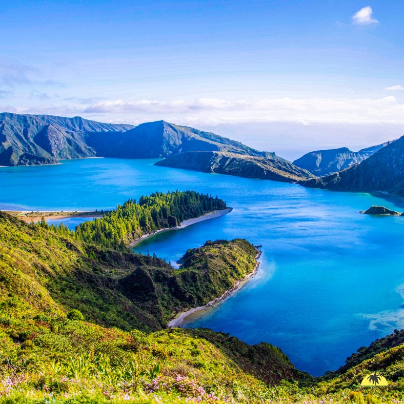 𝐋𝐞𝐬 𝐀𝐜̧𝐨𝐫𝐞𝐬 𝐭'𝐚𝐩𝐩𝐞𝐥𝐥𝐞𝐧𝐭 !
Prêt pour une aventure unique ? Les Açores t'attendent avec leurs paysages volcaniques spectaculaires et leur nature préservée. Imagine toi randonner autour des lacs de cratère de São Miguel, gravir le majestueux volcan de Pico, ou plonger dans les eaux cristallines de Santa Maria. Chaque île est une promesse de découvertes : cascades à Flores, vignobles à Pico, ou encore l'ambiance festive de Terceira.
Vis l'expérience Açores, réserve ton voyage dès maintenant !
📞+41 26 652 12 56
📧 voyages@romontours.ch
#Açores #VoyageAçores #ÎlesAçores #AventureAçores #Découverte #Portugal #Vacances #romontregion #fribourgregion #jeunessessarinoises