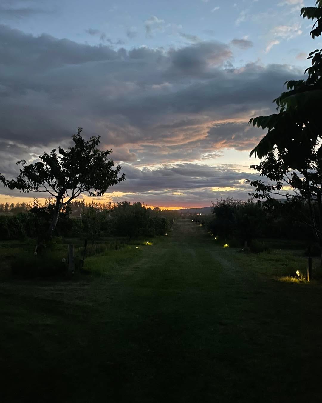 We will be open for blueberries tomorrow and Wednesday most likely too. The 6th and 7th.
$4 a lb. Duke, Blue crop, Huron, Chandler, Blue gold, and even some Calypso are ripe.
Please use the Atlas entrance. Bags and buckets provided, a lot of people are still parking back in the strawberry area. You can park up by the middle checkout stand, single file along the roads. (See map).
You can pick where you like but the red areas in my pic have the most berries.
For those asking about raspberries and blackberries. The raspberry crop was short lived as they were ripening a few weeks ago during the hot stretch and shriveled up really quickly. The blackberry crop is super small. A few ripe ones here and there, just had a rough winter.