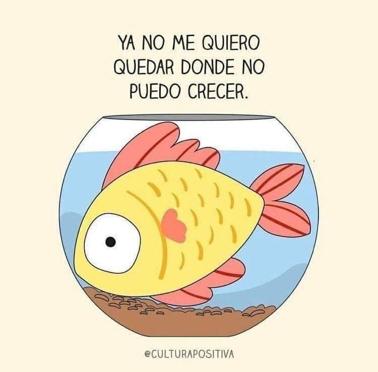 Llámanos para ayudarte crecer. Estamos aquí para ofrecerte herramientas para seguir adelante. 501-271-8520
Tenemos sesiones disponibles los sábados y en las tardes.