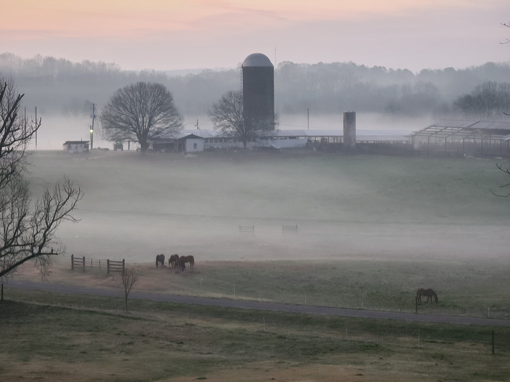 Fog, often hated by many, adds a mystic to our Shel-Clair paradise. Just one of the beautiful scenes at our farm. Turn a corner, and you another natural masterpiece. #fog #grainsilos #horsesgrazing