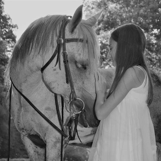 Shout out to Harp Photography, who took some of her professional photos at our farm. #professionalphotography #alabamaphotographer #horsephotography