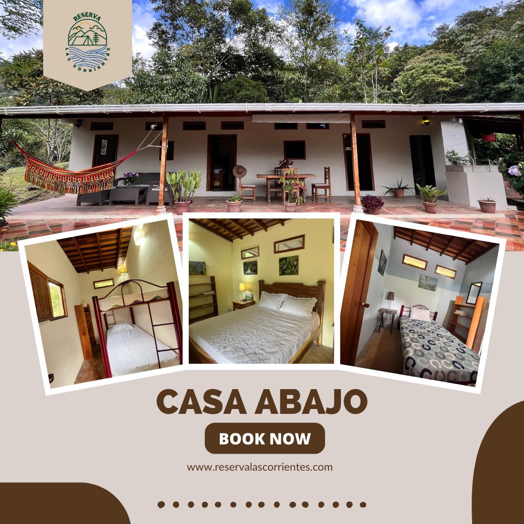 Looking for the perfect escape from the city? 🌿 Whether you're a digital nomad or planning a weekend getaway with loved ones, our mountain retreat just 3 hours from Medellín offers everything you need—privacy, serenity, and nature at its best. 🌄 Book your stay today and unwind in the heart of tranquility!
#ReservaLasCorrientes #Reserva #Hotel #Staycation #Finca #Naturaleza #Antiquioa #medellin #Colombia #DigitalNomad