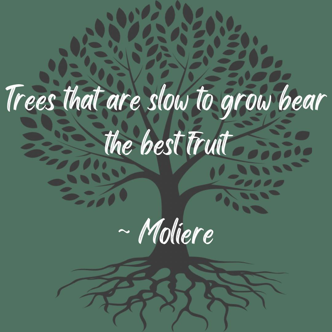 We all move at our own pace and the best outcomes generally take longer to arise. Whether on a healing journey, working toward physical goals, or something else entirely, Moliere reminds us to take our time, give ourselves space and respond as we would to a dear friend - with patience and grace.
#comehometoyoursoul #healthybodyhealthymind #comehometoyourself❤️ #healthybodyandmind #healthybody #takeadeepbreath #comehometoyourroots #welcomehome #healthybodyhealthymindhealthysoul #comehometoyourself #healthybodyhappymind #justbreathe #comehometoyourbody #comehometoyourheart #comehometoyourheart🙏