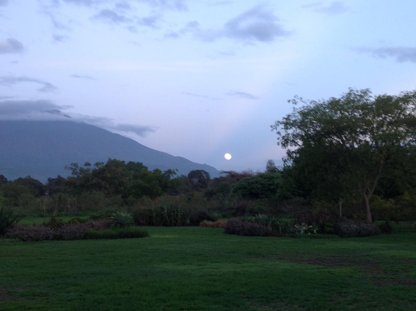 The moon has always captivated me. The cyclical nature of the Earth’s relationship to it, the influence it has over human nature and the oceans, the sheer beauty of it, ever since I was a child it has amazed me. When we tune our own behaviors and actions to sync with the lunar rhythms, we find greater awareness and balance. In honor of today’s full moon, I invite you to take a peek outside tonight and just observe. Notice the shape and size of the moon, notice how you feel under the light reflecting back at you. Then, take a deep breath. If you like, join Liz for a full moon flow at 7:15 tonight or take to your mat at home and twist it out.
#fullmoonflow #breatheinandrelease #connectwithyourinnerself #connectwithyourintuition #fullmoonvibes #fullmoon #letgo #moveyourbody #justbreathe #fullmoonyoga #fullmoonenergy #justbreathe❤️ #howlatthemoon #fullmoonmagic