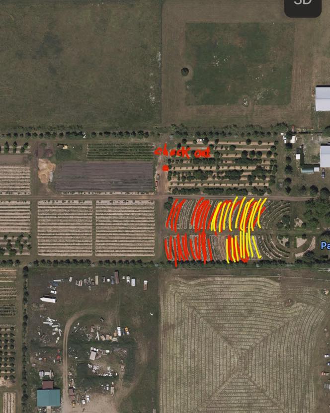 lWe will be open for blueberries today August 9th all day light hours.
$4 a lb.
Please use the Atlas entrance. Bags and buckets provided, a lot of people are still parking back in the strawberry area. You can park up by the middle checkout stand, single file along the roads. (See map).
You can pick where you like but the red and yellow area have the most berries.
If you checkout at the strawberry stand you need to do you own math on the scale as it is set for strawberries only.