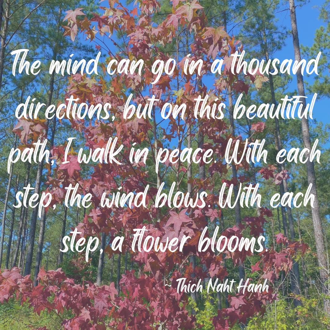 Meditation is a beautiful practice with so many amazing benefits, and is a practice so deeply misunderstood by so many. Often, an image of a monk in an uncomfortable seat of the floor sitting for hours at a time is what comes to mind. But, meditation can be so much more accessible to each and every every one of us. Meditation can be washing dishes, taking a walk, or practicing yoga. Try this - next time you leave to go somewhere, take a seat (in your car, on your bike, on your couch, on the ground, wherever makes sense to you). Close your eyes and take three deep breaths. Notice how the breath feels as it enters your body. Then direct your thoughts to the process of your journey. May you have easy travels. May you approach your destination with patience and an open heart. Then be on your way. And guess what?!? You just meditated! Yes, it was short, but the thing about meditation is that it gets easier with practice. Try this a few times. Then maybe lengthen your time or add new transitions.
#healthybodyhealthymind #healthy #moveyourbodyeveryday #healthybodyandmind #changeyourmindchangeyourlife #healthybody #takeadeepbreath #healthybodyhealthymindhealthysoul #healthybodyhappymind #moveyourbody #justbreathe #changeyourlife #changeyourlifetoday #changeyourlifetodaynottomorrow