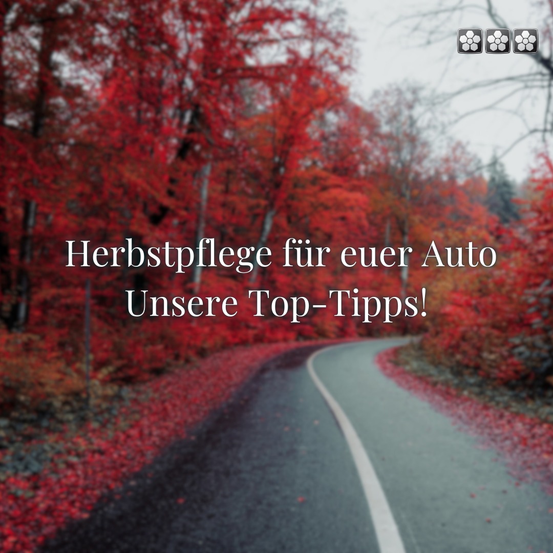 🍁 Herbstpflege für euer Auto: Unsere Top-Tipps!
Der Herbst ist die perfekte Zeit, um euer Auto auf die kalten und nassen Monate vorzubereiten. Damit ihr sicher und gepflegt durch die Saison kommt, haben wir ein paar einfache Tipps für euch:
🍂Laub und Schmutz entfernen:
Blätter und Schmutz können sich in Ecken und Kanten sammeln und dort Feuchtigkeit speichern – das kann Rost verursachen. Entfernt sie regelmäßig, besonders aus den Radkästen und der Lüftung.
🌧️Scheibenwischer wechseln:
Gute Sicht ist das A und O. Starke Regenschauer und Nebel können im Herbst die Sicht erschweren. Stellt sicher, dass eure Wischerblätter in gutem Zustand sind.
🛞Reifen auf Profiltiefe prüfen:
Eine ausreichende Profiltiefe ist besonders wichtig für sichere Fahrten bei Regen und rutschigen Straßen. Checkt eure Reifen und wechselt bei Bedarf auf Winterreifen.
🔋💡Batterie und Beleuchtung prüfen:
Batterien leiden unter Kälte, und defekte Scheinwerfer sind ein großes Sicherheitsrisiko. Ein kurzer Check in unserer Werkstatt bringt Klarheit.
🚗Schutz für den Lack:
Mit einer Wachsbehandlung bleibt der Lack gegen Feuchtigkeit und Schmutz geschützt – und euer Auto sieht top aus!
Kommt vorbei und lasst euer Fahrzeug von unseren Profis für den Herbst und Winter vorbereiten! Wir bieten euch alles, was ihr für die perfekte Pflege braucht. 🙌