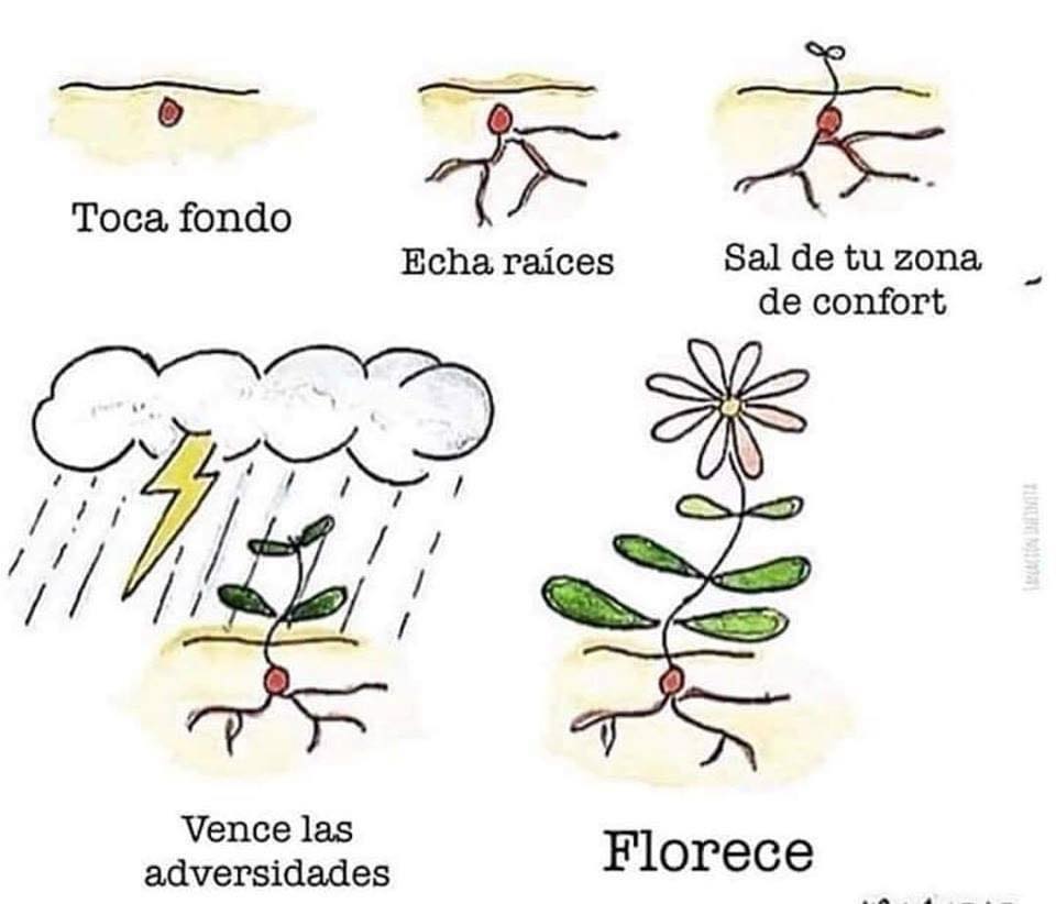Ven y crece con nosotros. Te queremos dar herramientas para que florezcas. Nunca es tarde para tu salud mental!
Has tu cita hoy! 501-271-8520