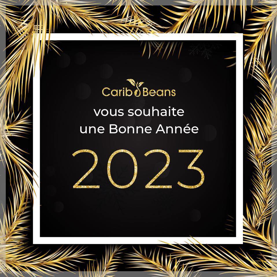 #bonneannee2023 #happynewyear2023