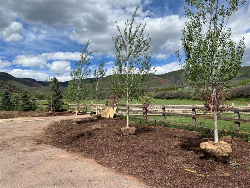 take the scenic route to a stunning entrance. 🛤✨
Our BLD team brought a touch of elegance and natural beauty to this drive lined with newly planted #aspens. By opting for a planted front entry with trees paired with perennial planting, this property is creating a healthier, more #sustainable, visually appealing landscape ensuring to make a lasting first impression.
📸: bluegreen BLD
#landscapearchitecture #landscapedesign #design #planting #aspens #native
#local #designandbuild #build #aspen #colorado #installation #sustainabledesign #designinspo #entryway #mountains #luxurydesign