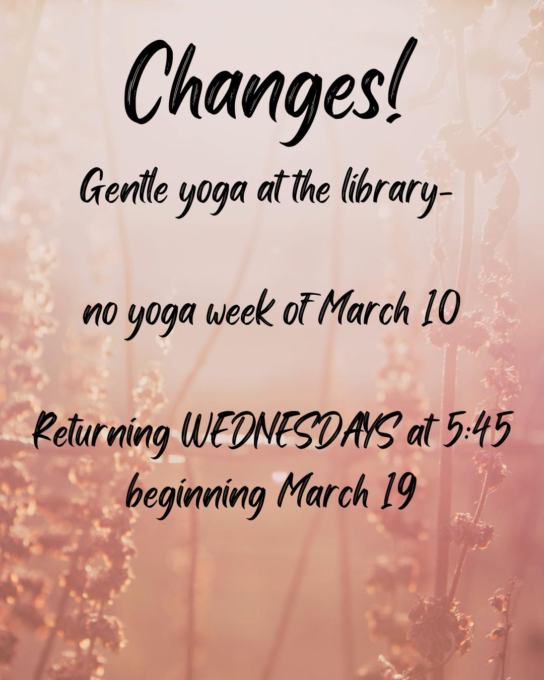 Tonight is the last night of Tuesday gentle yoga at the library. Next week both branches will be closed, so we will not practice together. Then, to accommodate the new library schedule, yoga is moving to Wednesday evenings beginning March 19 at 5:45pm. Please bear with me and the fantastic staff of the @twinlakesmgrl while we manage this transition period.
#healthybodyhealthymind #healthy #moveyourbodyeveryday #healthybodyandmind #changeyourmindchangeyourlife #healthybody #takeadeepbreath #healthybodyhealthymindhealthysoul #healthybodyhappymind #moveyourbody #justbreathe #changeyourlife