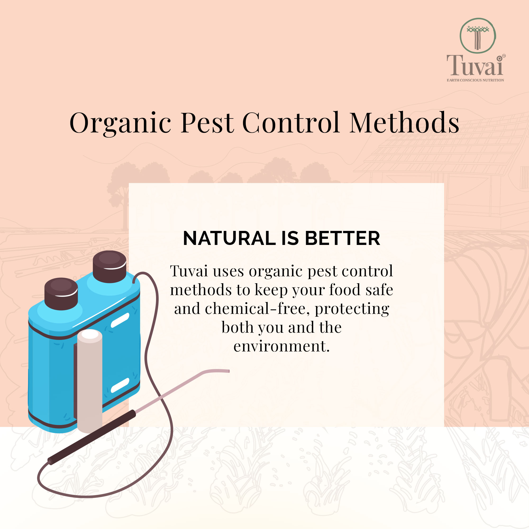 Did you know that Tuvai prioritizes organic pest control methods to ensure your food remains safe and free from harmful chemicals? 🌿 By opting for natural solutions, we protect both your health and the environment.
Learn more about the benefits of going organic with @tuvainature
Shop our premium natural products at www.tuvainature.com
-
-
#tuvainature #organicproduct #jharkhandpride #organicgoodness #healthrevolution #organicwellness #healthyliving #educateyourself #organicliving #tuvaipestcontrol