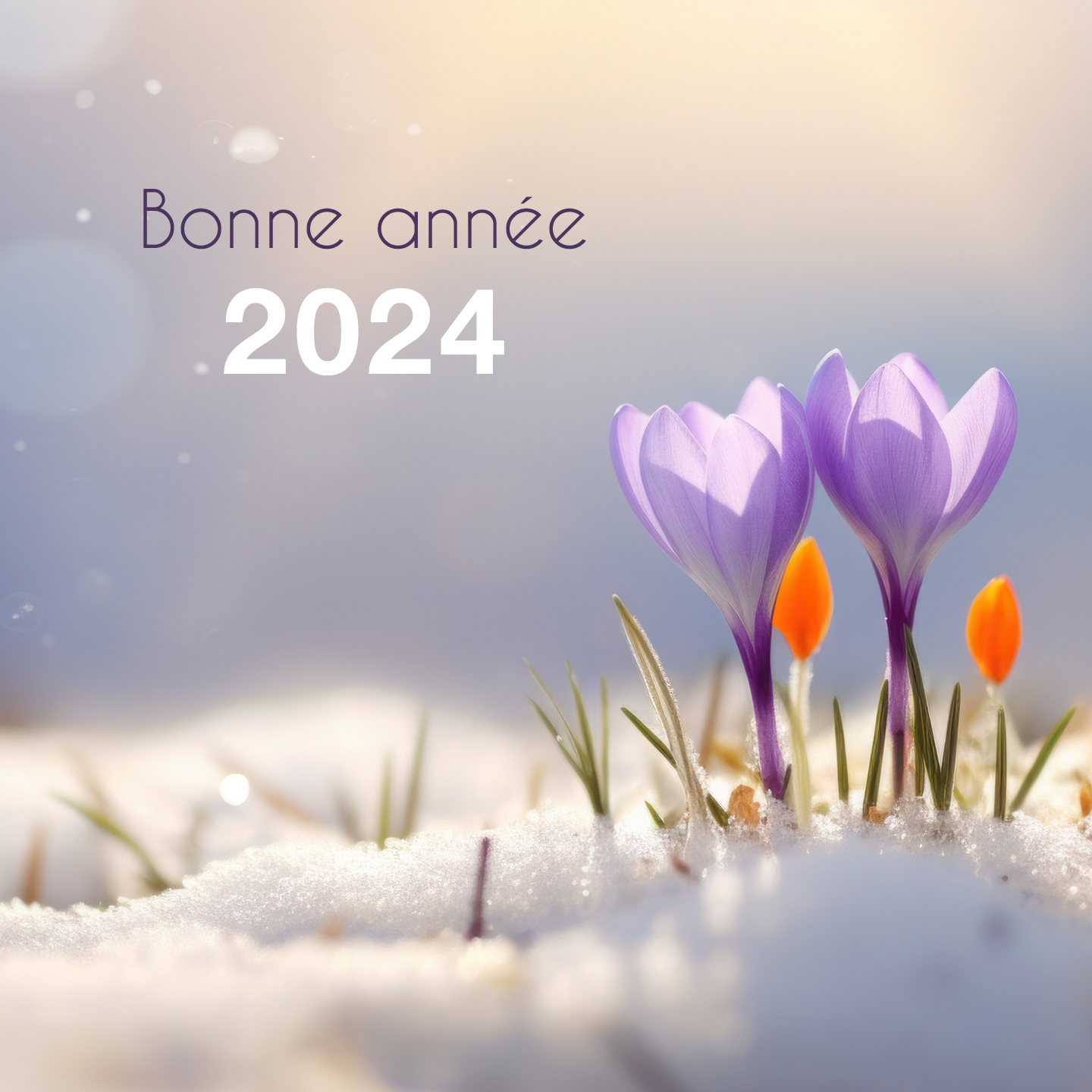 "DE BELLES REALISATIONS POUR 2024"
❄ Nos idées s'étaient rafraîchies
En prise avec le froid hivernal, notre imagination a pu quelque peu s'engourdir ces dernières semaines. Mais laisser notre vision devenir obscure et incertaine est parfois nécessaire pour faire le point, se recentrer, réfléchir et réajuster.
Et puis un jour, on voit apparaître de nouvelles opportunités. Le début d'année vient alors réveiller nos plus belles idées et nous invite à innover.
🌷 De nouvelles couleurs commencent à éclore
Cette année encore, je me réjouis de travailler sur des projets encore plus colorés, plus puissants, engagés et bienveillants. Je vais donner vie à de belles identités et permettre aux messages de mes clients de rayonner.
🙏 Je suis si reconnaissante d'exercer ce métier-passion, de pouvoir créer sans modération, de procurer tant d'émotions.
Alors, empreinte de cette énergie de renouveau que nous offre le mois de janvier, j'ai le plaisir de vous transmettre mes *MEILLEURS VOEUX* pour cette nouvelle année.
🎁 Je vous souhaite :
- Des projets émouvants, riches de sens et épanouissants
- Des supports de communication à votre image, pertinents et inspirants
- La réussite de vos rêves les plus grands et la chance d'en profiter en pleine conscience
Et si vous souhaitez un coup de pouce pour entretenir votre créativité, peut-être nos chemins pourront-ils se croiser ?
Une très belle année 2024 nous attend !
#graphisme #artsgraphiques #conceptionredaction #instagraphic #paysagehivernal #crocus #éclosion #couleursvives #opportunites #ideelumineuse #voeux2024 #2024 #apreslapluielebeautemps #joie #communicationvisuelle #retourdusoleil #croireensesrêves #projetscreatifs #projetcreatif #creativité #emotions #sensibilite #crayondebourdon #mathildebourdon #instapositif #quêtedesens #communicationgraphique #graphisteillustratrice
