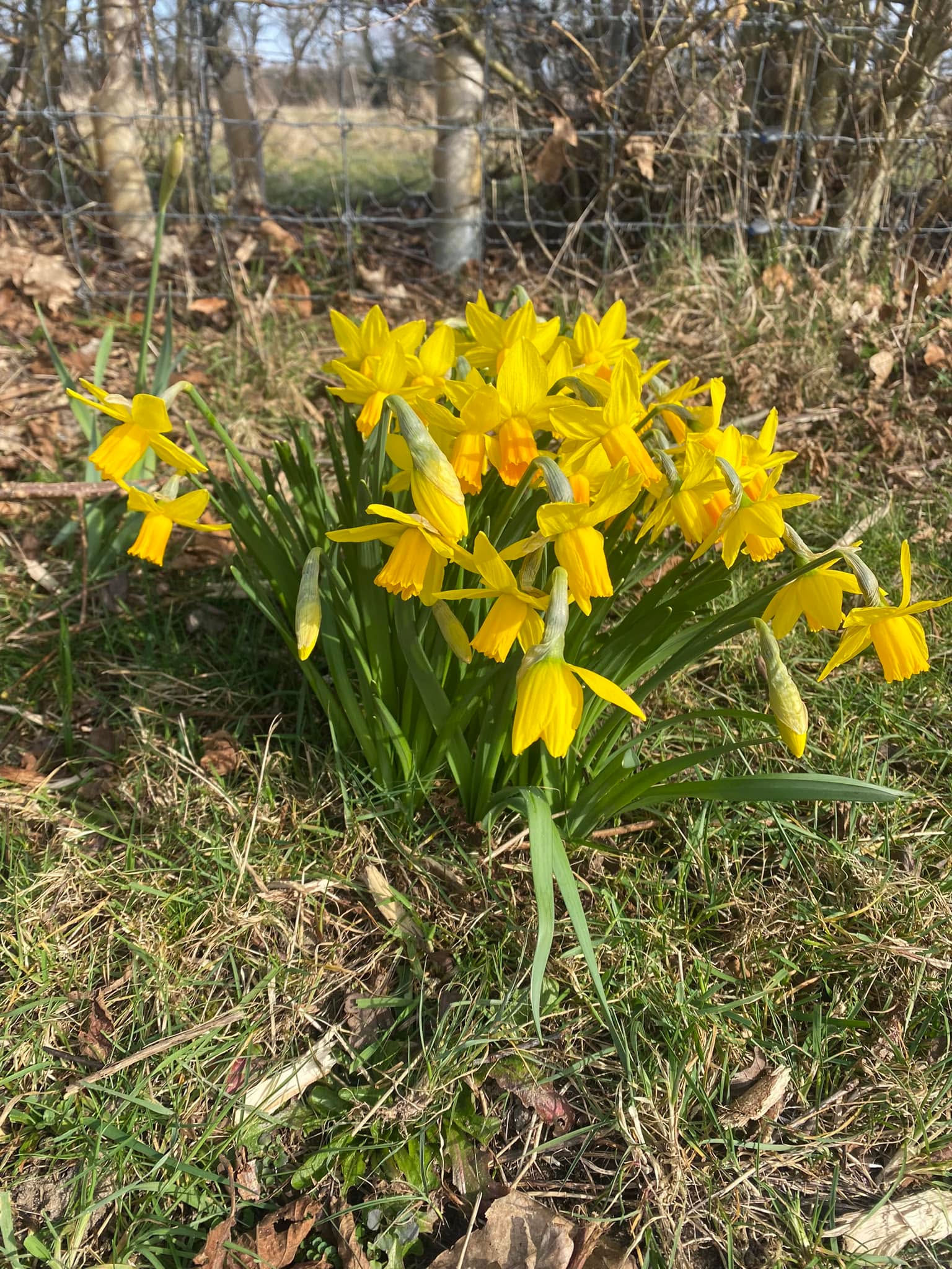 Happy International Women’s Day… officially today, unofficially everyday!!