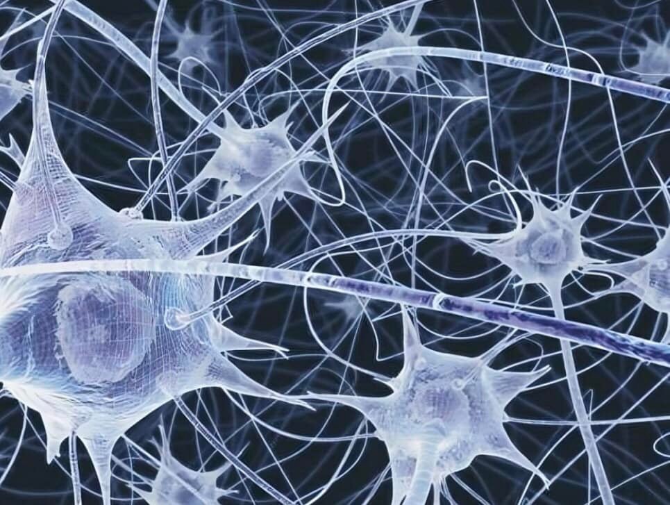 Internal and external networks within our bodies nervous system & fascia - mycelium & the cosmic web of galaxies in space - electrical connections & communication within us and outside of us 💚