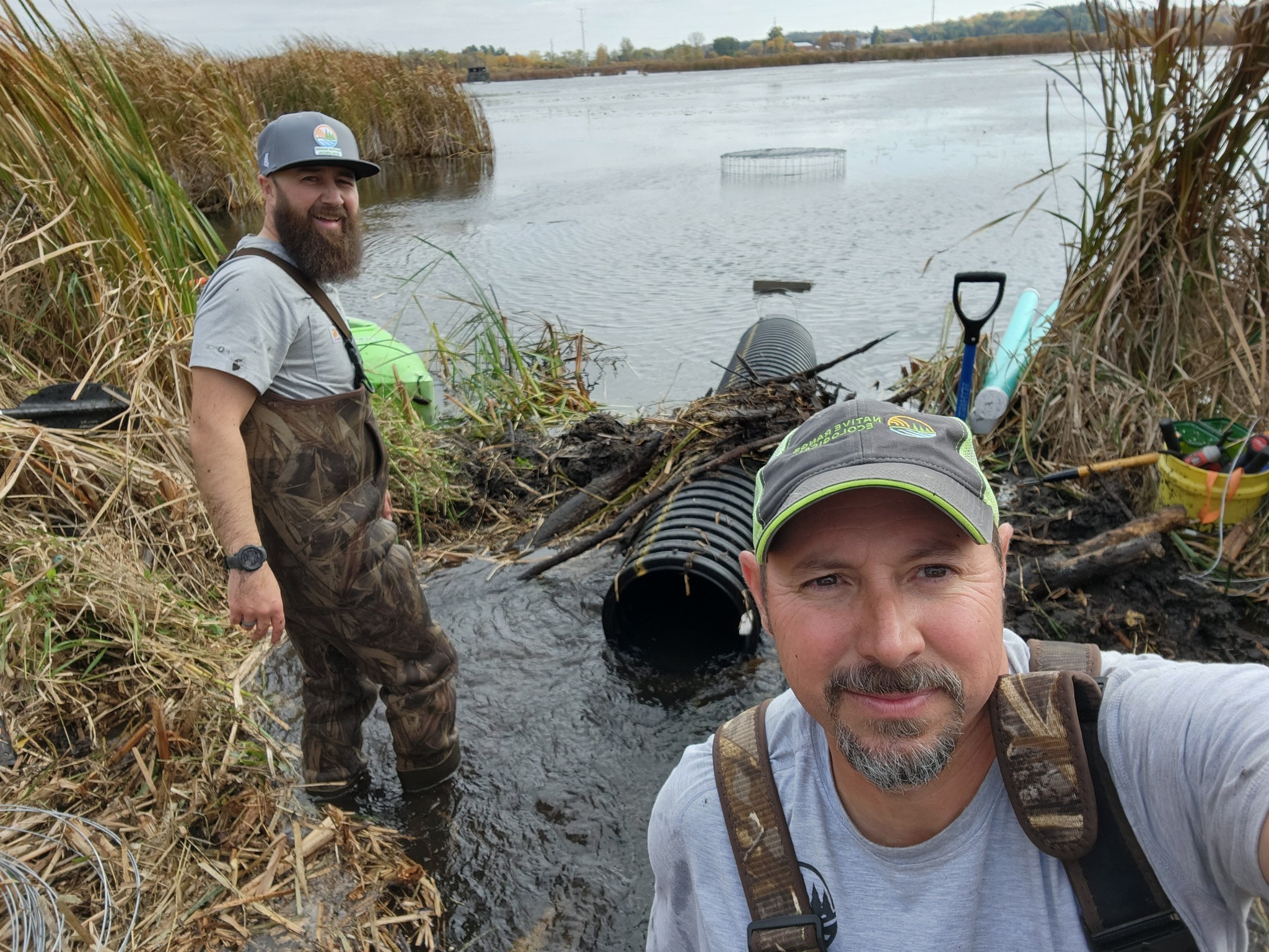 NRE installed our first Single Intake Pond Leveler today for a client in Columbia County, Wisconsin. It took us about six months to get the WDNR permit and today was a perfect day for the install. The intent of this flow device is to stabilize surface water elevations on a beaver pond and beaver-supported wetland complex. The elevation of the pipe that is installed into the beaver dam establishes the pond levels and allows the landowners to co-exist with beavers. Beavers are a critical keystone wildlife species which support incredible biodiversity and improve water quality!🦫 #flowdevices #wetlandrestoration #processbasedrestoration #keystonespecies#beavercorps