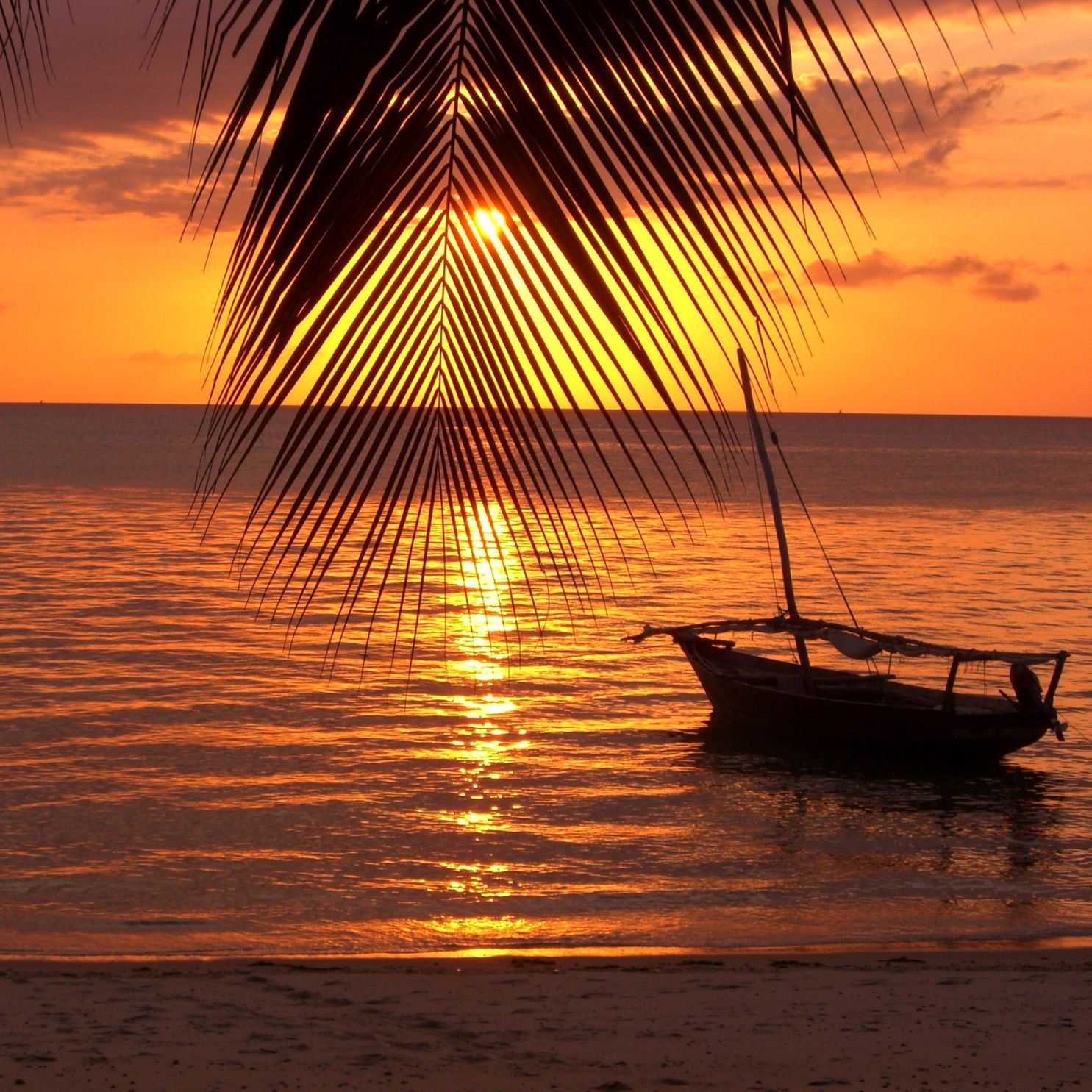 Sailing into the sunset 🌅⛵ Zanzibar’s golden hour is pure magic. Let CND Travel take you there! ✨
📞 Contact us today:
📱 +27 79 244 4432
📧 hello@cndtravel.co.za
🌐 www.cndtravel.co.za
#ZanzibarVibes #CNDTravel