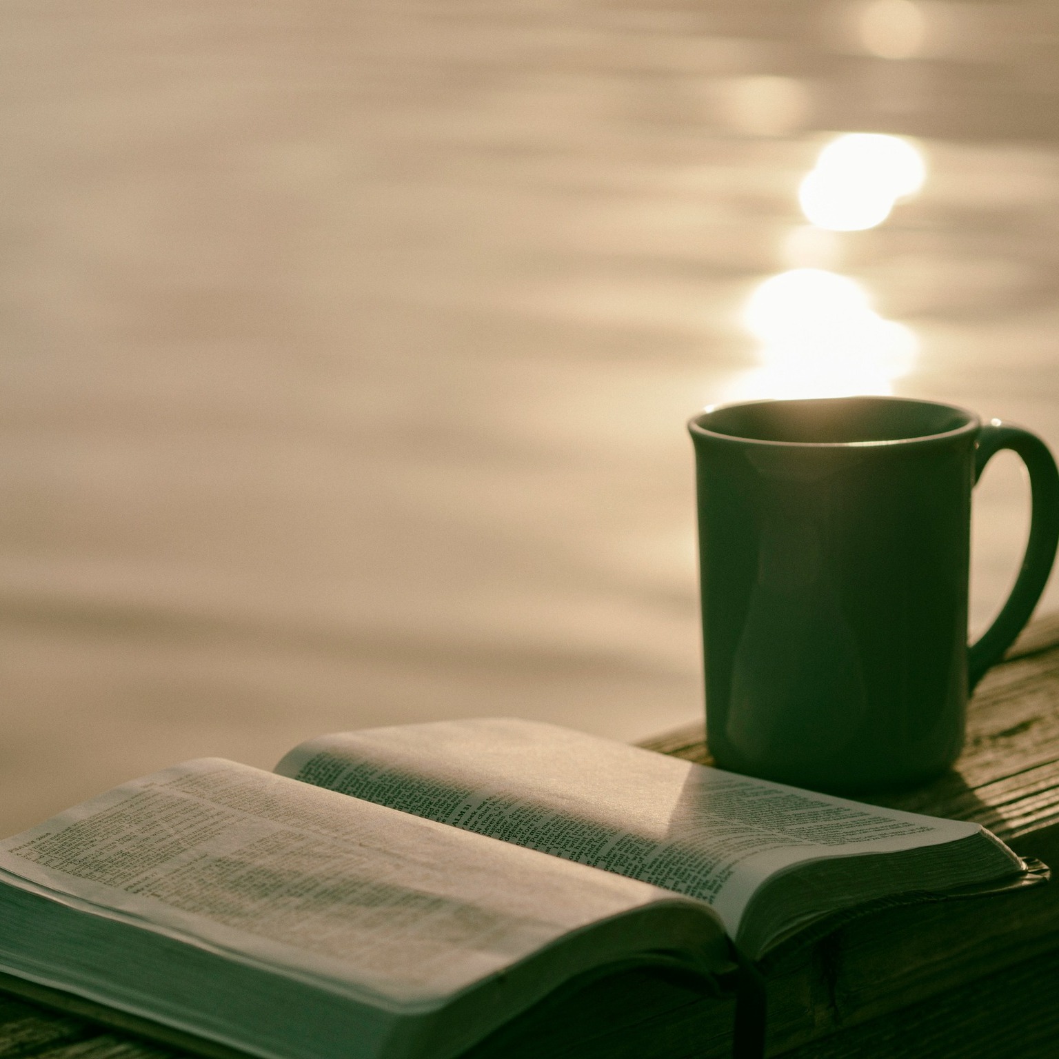 "Believe nothing, no matter where you read it, or who said it, no matter if I have said it, unless it agrees with your own reason and your own common sense." - Buddha
#subconsciousreprogramming #subconsciousprogramming #subconsciousmind #manifestingdreams #manifestyourdreams #manifestabundance #meditation #reprogramming #CreateALifeYouLove #superconscioushealing