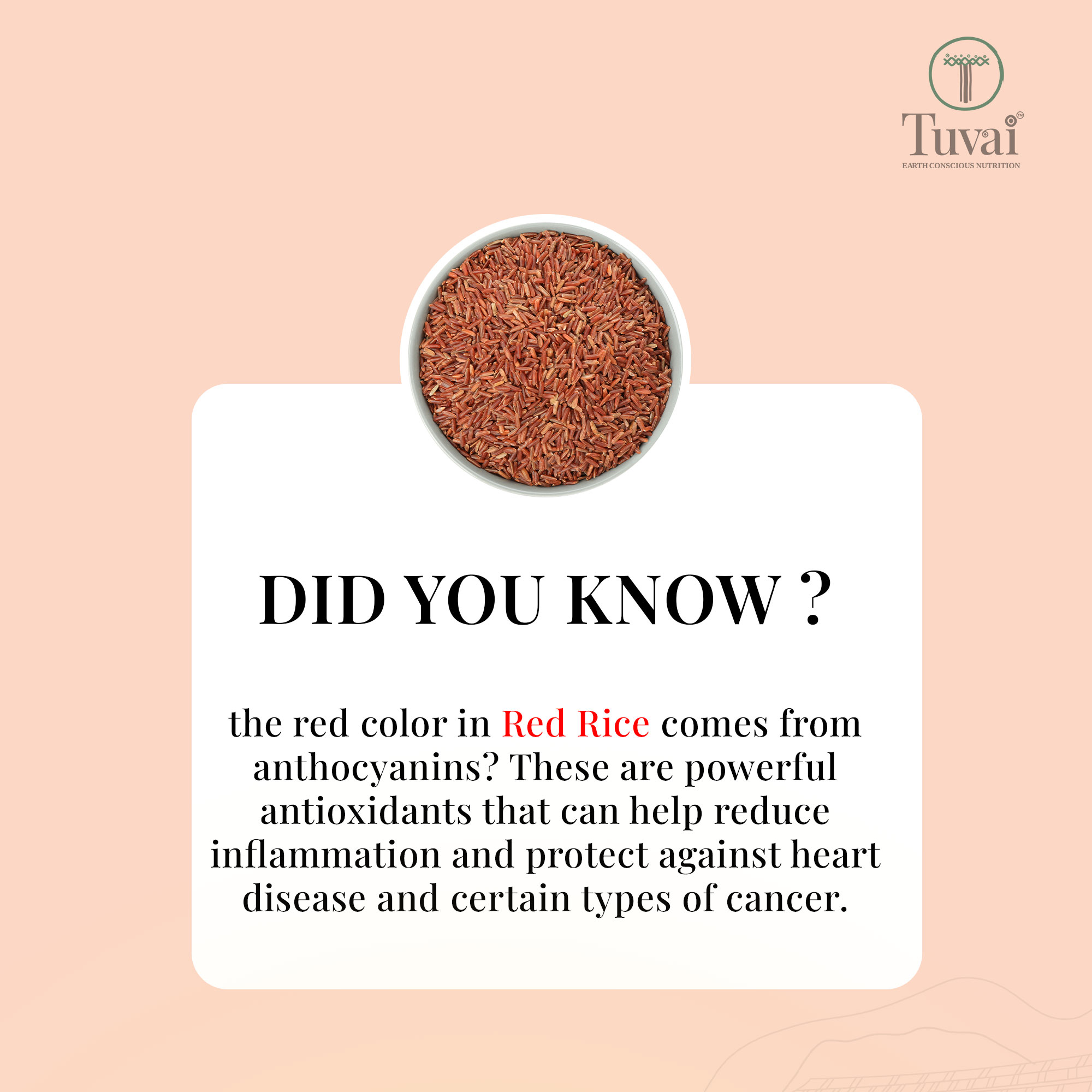 Did you know?
The beautiful red hue of our Red Rice comes from anthocyanins. These amazing antioxidants can help reduce inflammation and protect against heart disease and certain types of cancer. Enjoy the natural benefits of @tuvainature Red Rice for a healthier, happier life!
Shop our premium natural products at www.tuvainature.com
-
-
#tuvainature #organicproduct #jharkhandpride #redricepoha #organicgoodness #farmerslife #indianfarmers #sustainbleagriculture #traditionalfarmingpractices #organicfarmers #organicfarming #amritkrishi
#earth #conscious #nutrition #nativeseeds #amritkrishi #sustainablefarming