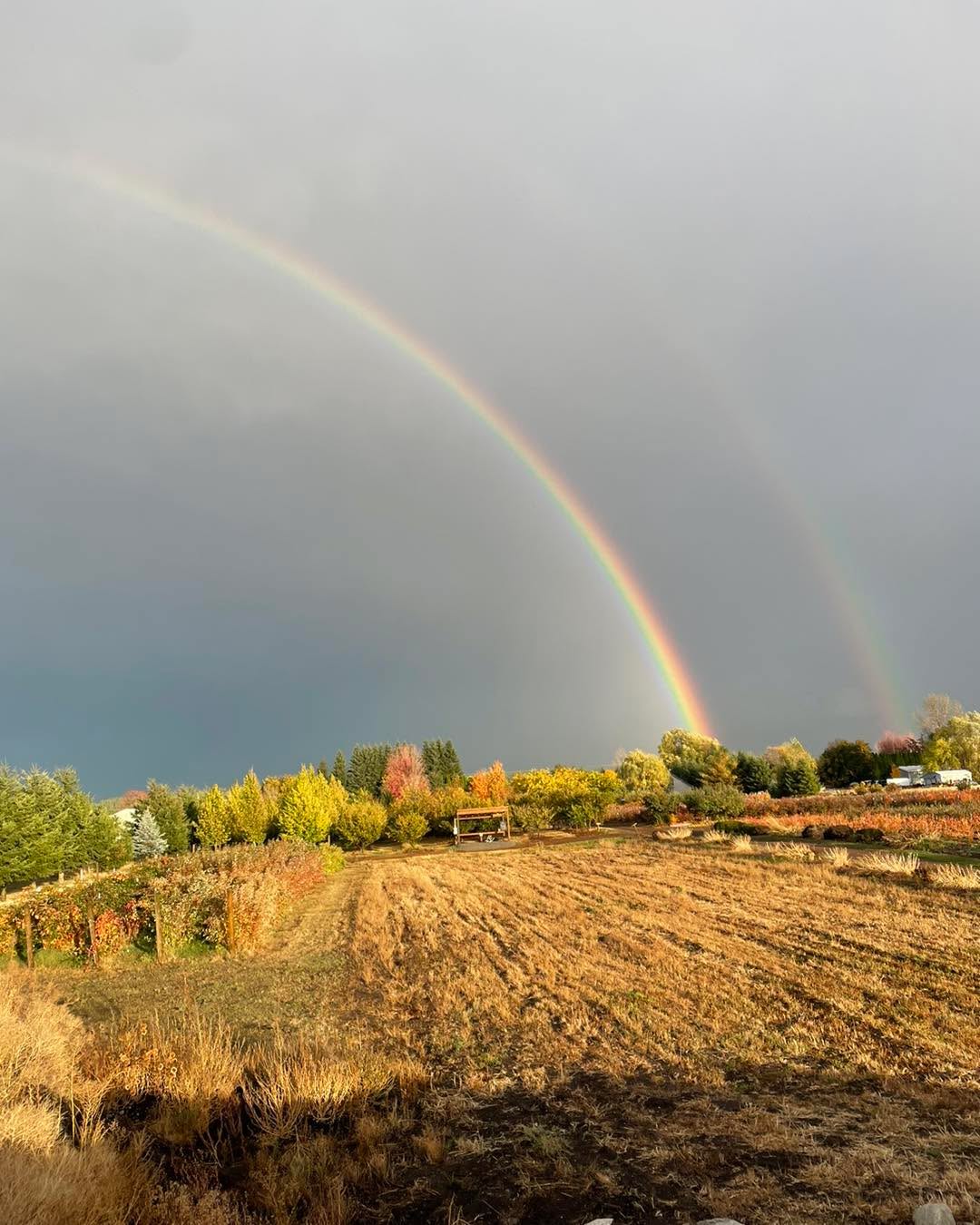 Thank you for your support over the last 5 years!
Your purchases on the farm help a lot with the expenses of our day to day operations, however the farm is mainly supported by the other 2 businesses we own.
Supporting these businesses helps us keep the farm going!
CPR Cell Phone Repair, we have owned this business for 8 years and chances are many of you have already been there for your broken phone, tablet, game console, or computer. We also sell refurbished devices and accessories!
https://www.cellphonerepair.com/coeur-dalene-id
North Idaho sprinklers and landscaping, purchased this business in 2022 and are typically really busy but always looking to grow! We take care of your typical sprinkler services such as backflow testing, sprinkler maintenance, and winterization. We also offer main water line installs and repairs, land clearing, gravel driveways, and most things excavation related.
https://northidahosprinklers.com/
Thank you!