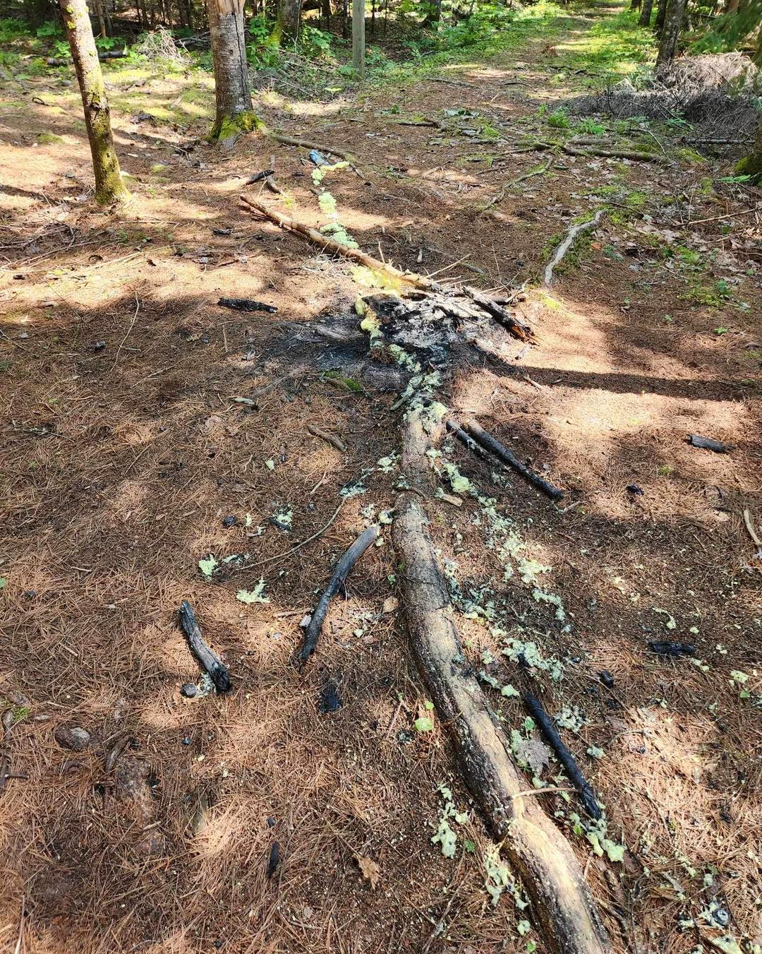 Prohibited: Fires
Prohibited: Camping
Prohibited: Dumping Garbage
These were not on island yesterday at noon so happened down by the tickle yesterday afternoon or night.
If we as a collective do not protect the island, the island will not be here for long!
Some of the trees are hundreds of years old! There is wildlife who call Beaubears Island Home!
2 National Historic Sites call Beaubears Island Home
Please report to either Parks or is at Beaubears this kind of stuff
Interdit : Incendies Interdit : Camping Interdit : jeter des ordures Ceux-ci n'étaient pas sur l'île hier à midi, ils sont donc tombés par le chatouillement hier après-midi ou nuit. Si nous, en tant que collectif, ne protégeons pas l'île, l'île ne sera pas là pour longtemps ! Certains arbres ont des centaines d'années ! Il y a des animaux sauvages qui appellent Beaubears Island Home! 2 lieux historiques nationaux s'appellent Beaubears Island Home Veuillez signaler à Parks ou à Beaubears ce genre de choses