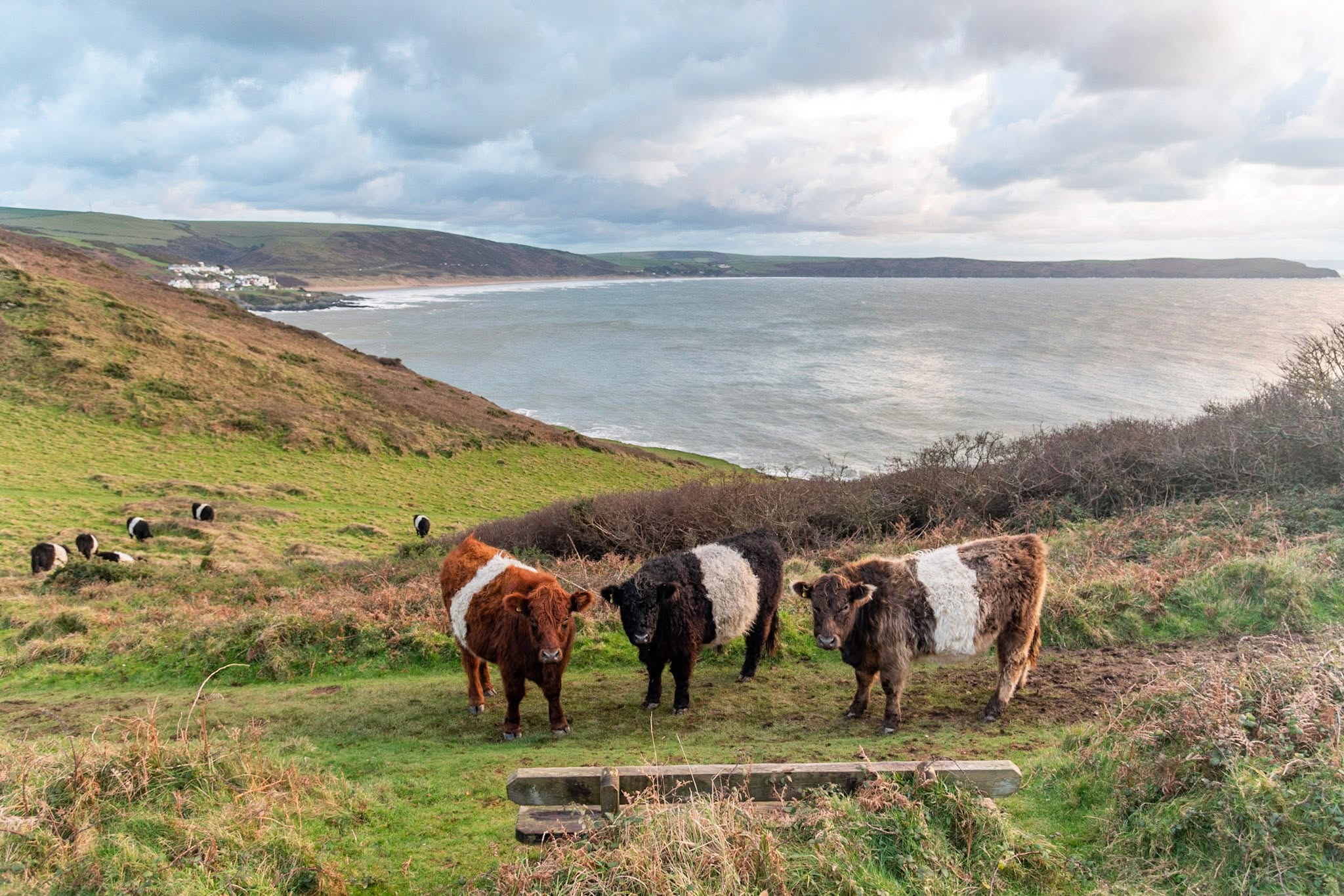 There are such a fantastic range of places to visit and explore in North Devon. As you walk from Morte Point to Bull Point Lighthouse, keep an eye out for seals and enjoy the coastal heathland and maritime grasslands. These rich habitats are home to a variety of birds and other wildlife!
#Willingcott #WoolacombeAdventures #EscapeToTheCoast #DevonEscape #DevonHolidayHome #InvestmentOpportunity #DevonHoliday