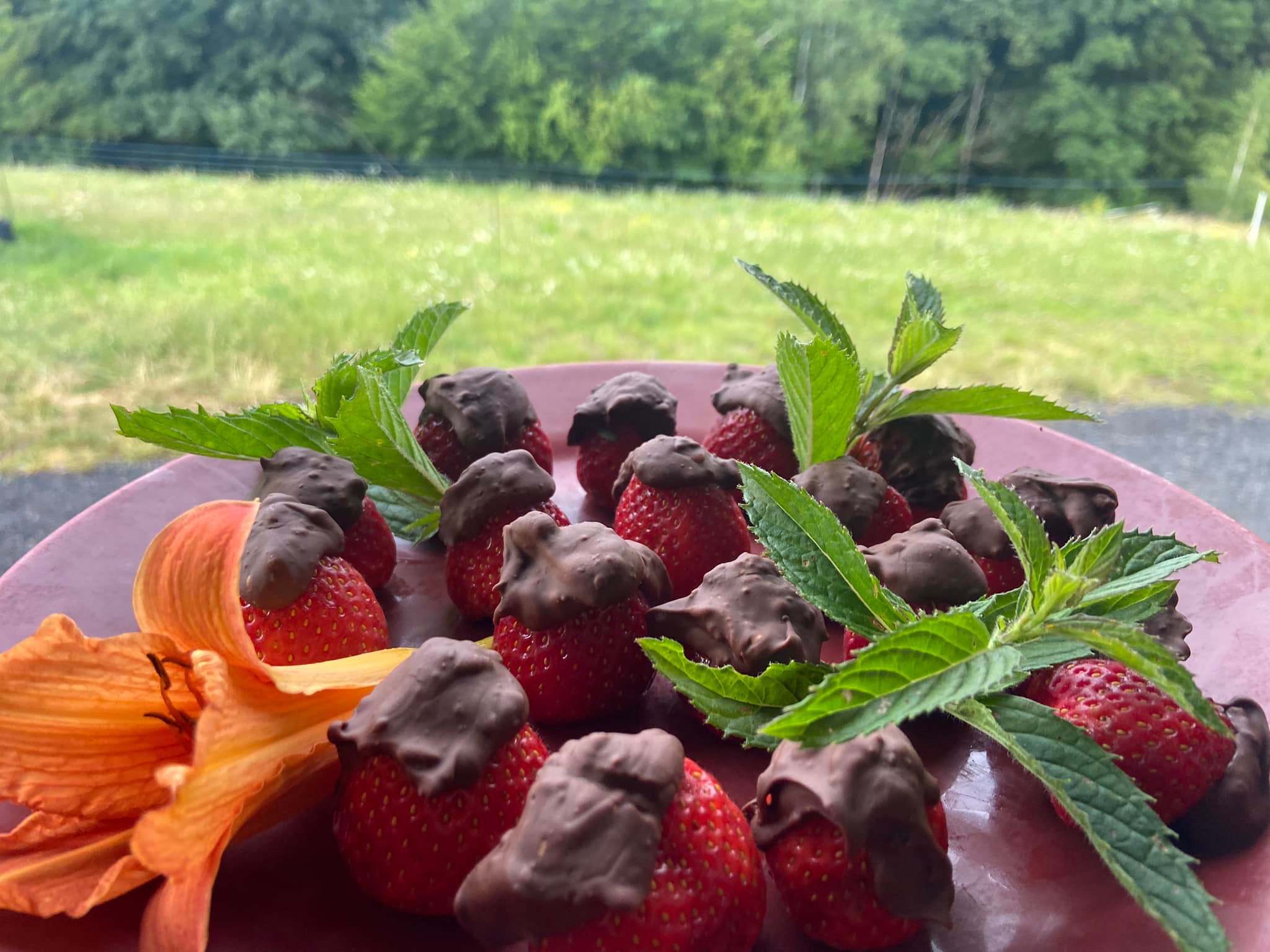 Poslední den kroužku na Farma Nad Meandry byl ve znamení oslavy.
🍓🍓🍓 v čokoládě
👍👍👍 Sklizeň hrášku
🦄🦄🦄 koupání koní
⛺️🌈🌈 tvoření
🐴🐴🐴 čtverylka pro rodiče
Děkujeme našim dětem s přejeme Vám kásné léto. Příští rok se budeme opět těšit ve středu a čtvrtek od 16 do 18 hod. Přihlášení e-mailem reservation@nadmeandry.com, nebo na tel.: 608012061