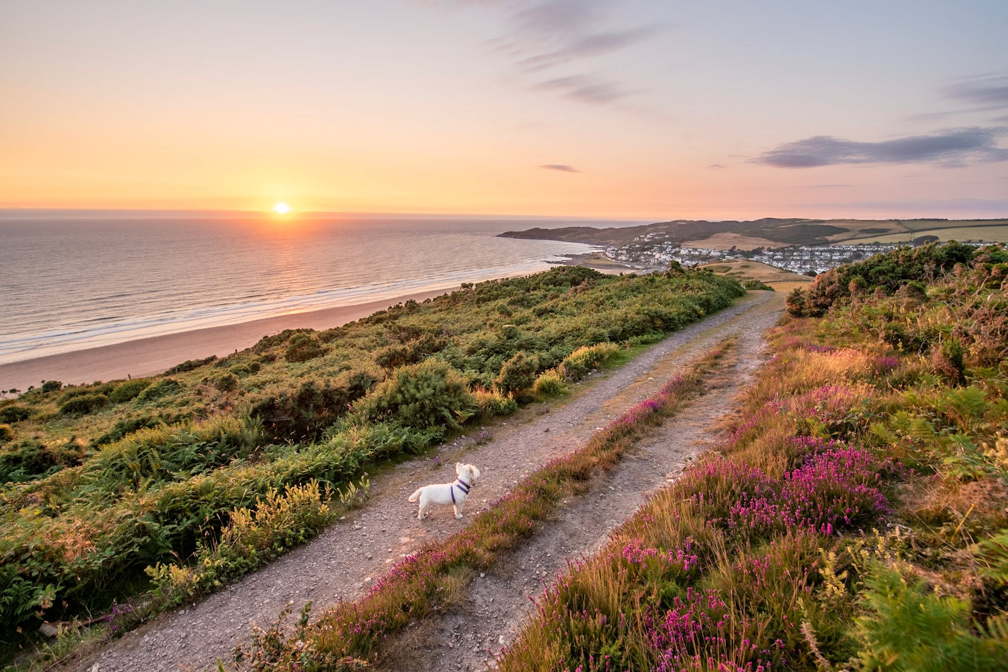 End your day of exploring Devon’s stunning coastline with a breath-taking sunset over Woolacombe 🌅✨. From the golden sands to the rolling countryside, Willingcott offers the perfect base for your Devon adventures. Unwind in comfort, soak in the views, and make memories to last a lifetime.
#WoolacombeSunset #ExploreDevon #Willingcott #EscapeToTheCoast #DevonEscape #FamilyGetaway #UnwindInStyle #WoolacombeAdventures #LongWeekendRetreat