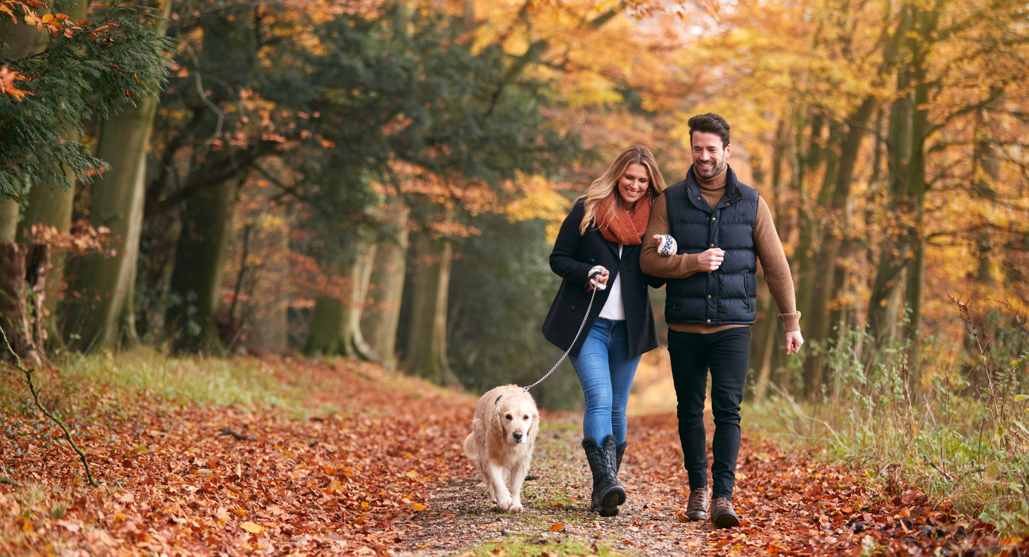 Looking for somewhere to escape this half term? North Devon is simply stunning in the autumn months, the scenery transforms into a spectacular display of oranges, reds, yellows and golds. 🍂
Enjoy a breathtaking woodland walk with the entire family, including your loyal companion. After all, every member of the family deserves a luxurious getaway.
#Willingcott #Woolacombe #EscapeToTheCoast #DevonHoliday #DevonEscape #CoastalEscape #SummerHolidays #DogFriendlyStaycation #NorthDevonCoast #LuxuryLiving