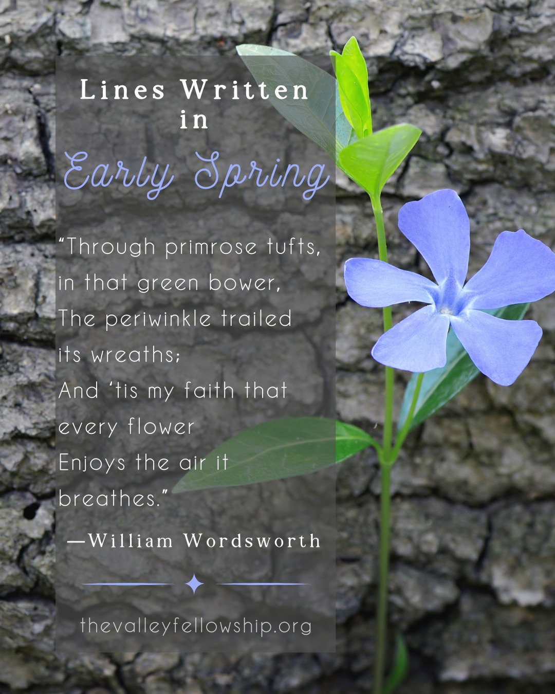 📌 Theme: The quiet moments of change we don’t always notice.
📖 Poem: Lines Written in Early Spring by William Wordsworth
💬 "What’s something small you’ve noticed lately that signals change?"