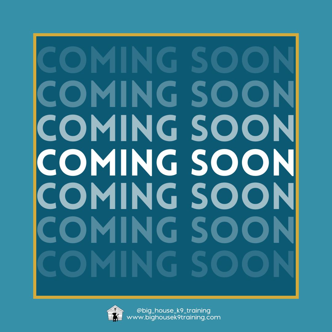 šØ Casa Grande, You AskedāWe Listened! šØ
Big House K9 Training has some exciting news coming your way! Weāre rolling out new classes, clinics, and workshops to help you and your dog succeed. š¶āØ
We canāt spill all the details just yet, but hereās a little hint⦠New puppy classes are coming! š And thatās just the beginningāweāve got something for everyone!
š
Stay tuned and keep an eye on our social media for the official announcementātrust us, you wonāt want to miss this! šš¾
#bighousek9training #positivereinforcementtraining #bighousek9trainer #casagrande #positivereinforcementtrainer #positivereinforcement #casagrandeaz #DogTraining #bhk9train #bhk9trainer #bhk9training #fearfreetraining #fearfreedogtraining #rewardbasedtraining