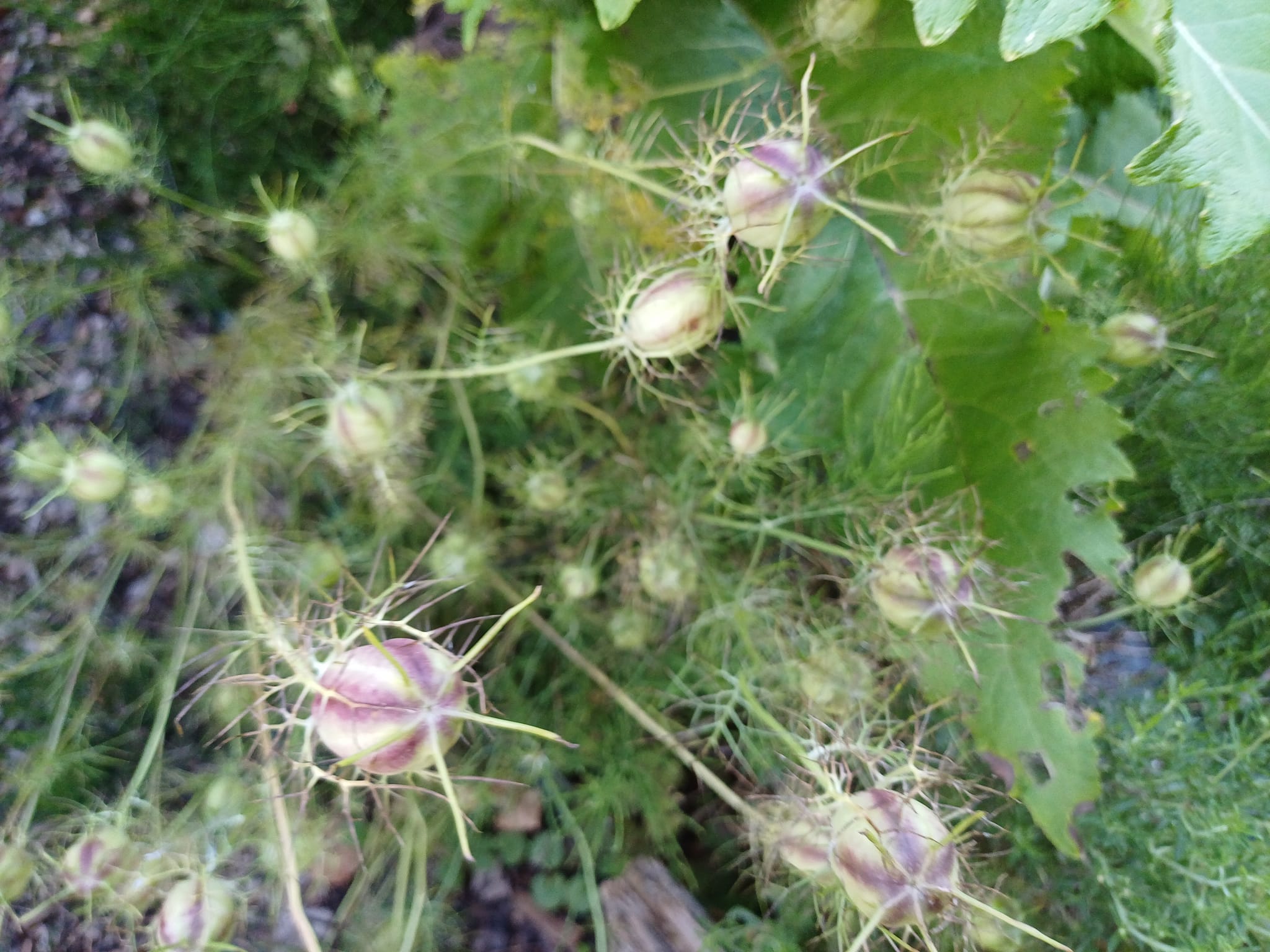 Mir ist leider krankheitsbedingt ein Interviewpartner abgesprungen.
.
Ich brauch für meine Masterarbeit
("Gewalt in der elterlichen Erziehung und die Auswirkungen von Gewalt auf das eigene Erziehungsverhalten")
noch jemanden zum Befragen.
.
Mag jemand?
.
Kriterien: Elternteil sein und eine Form von Gewalt in det Kindheit erlebt. Interview Zeit: etwa 30 min online.
.
.