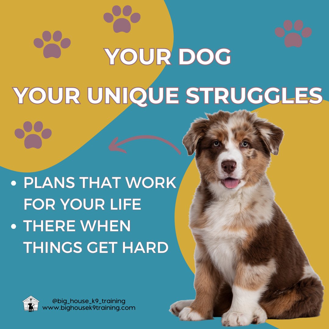 "I've Tried Everything on YouTube..."
Late night googling.
Video after video.
Trying every tip you can find.
And your dog is still not progressing.
And you're still struggling.
And it all feels so... heavy.
š Stop drowning in endless internet advice.
Having a trainer in your corner means:
Someone who sees YOUR dog
Someone who knows YOUR struggles
Someone who creates plans that work for YOUR life
Someone who's there when things get hard
You wouldn't learn to swim from YouTube - you'd get a teacher who could watch you, guide you, and keep you safe.
Your dog deserves the same kind of help.
Ready for a real solution? Let's talk. Drop a ā¤ļø below and we'll reach out.
#rewardbasedtraining #dogtrainingtips #fearfreedogtraining #fearfreetraining #bhk9training #bhk9trainer #bhk9train #DogTraining #casagrandeaz #positivereinforcement #positivereinforcementtrainer #casagrande #bighousek9trainer #positivereinforcementtraining #bighousek9training