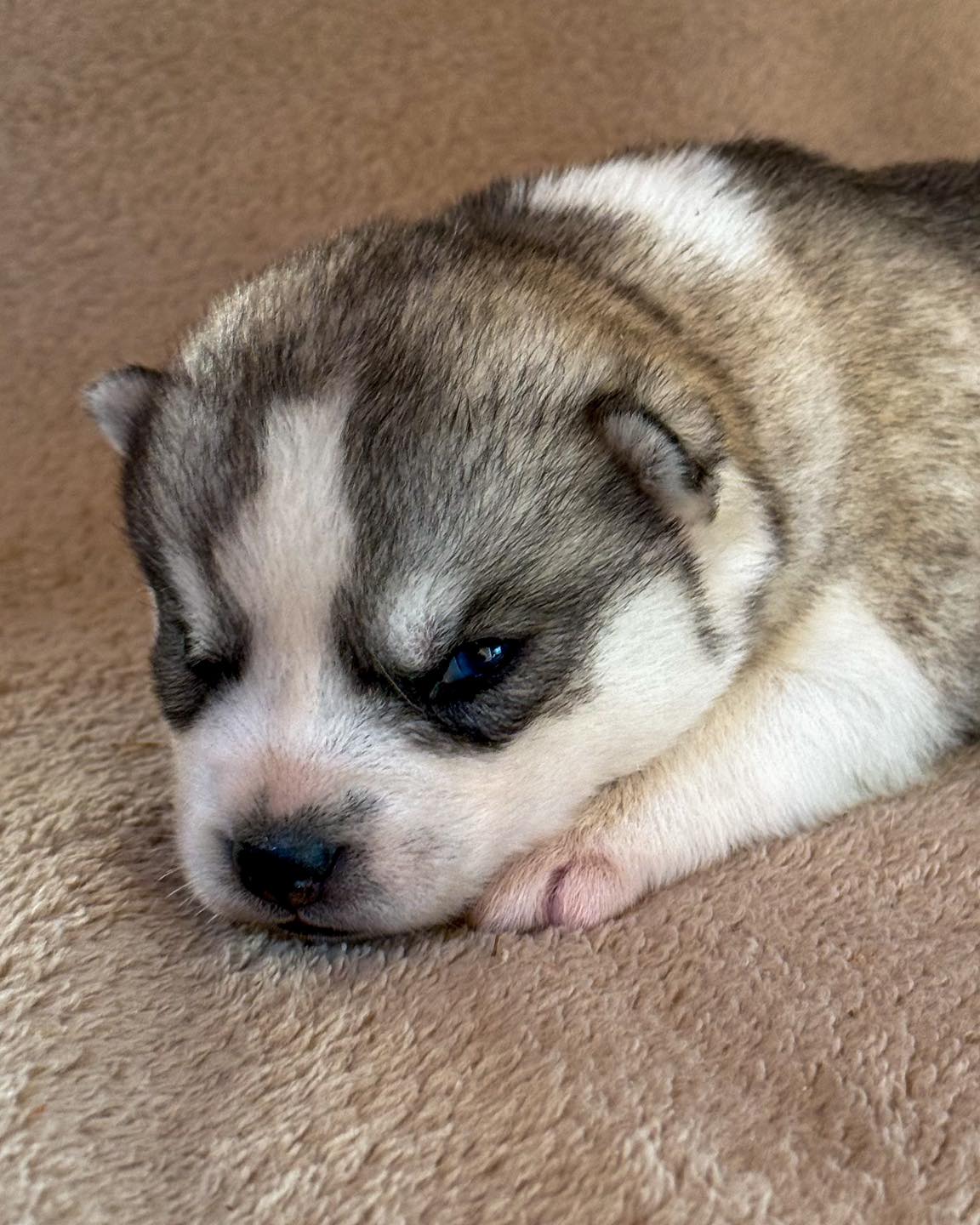 Baby Benny says Happy December!