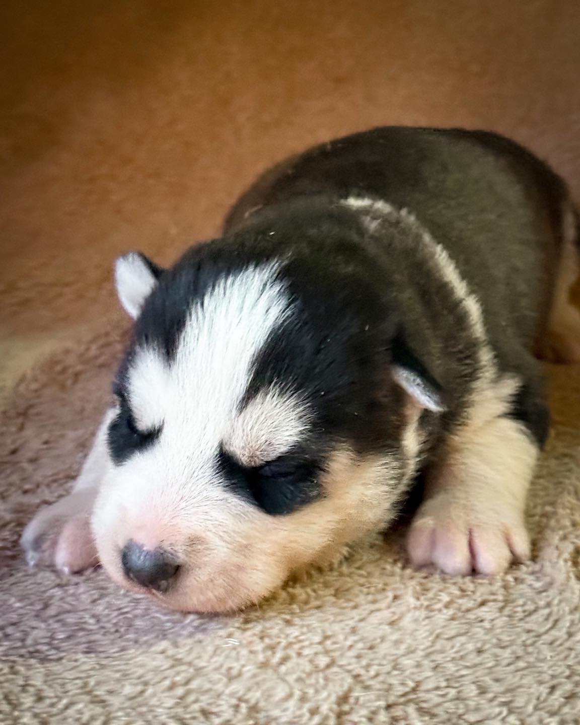 Little Luna is going to be gorgeous!