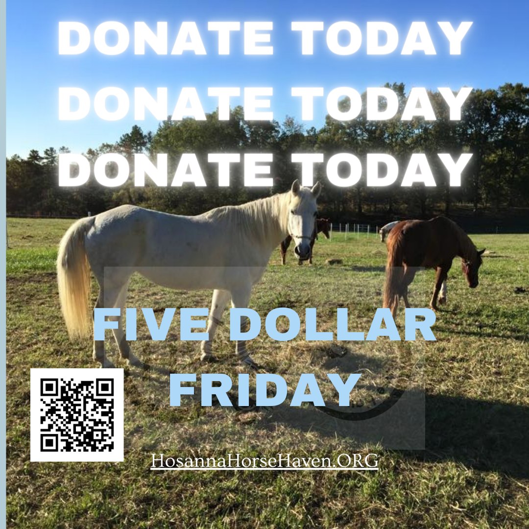 Be a hero! ALL funds go directly to the horses! Every donation helps, with 17 horses in care we need you to continue being an advocate for at risk horses. Do you ever wonder what happens after they are saved? I know the heart tugging emergency rescue senarios tug at our hearts, but whats next for these guys if folks dont start supporting sanctuary too. #H3 #HumansHealingHorses #horseshealinghumans