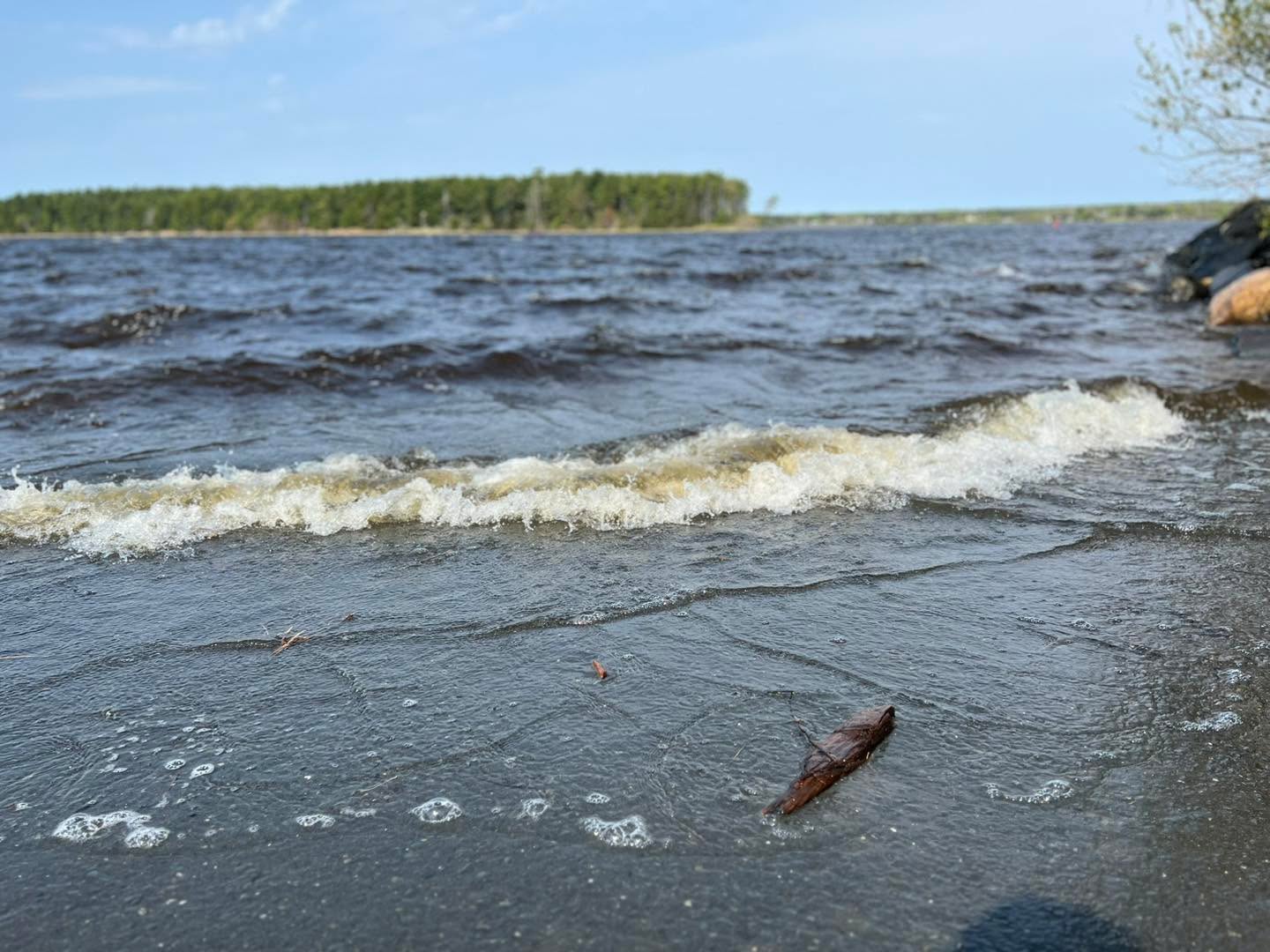 Beaubears Island is closed to safety concerns.
The risk is being assessed and we will share when the Island is open and safe to enjoy.