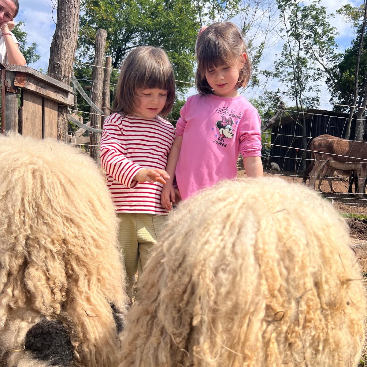 🚜Altro giro, altra corsa!
Un'altra sezione del Giardino di centro città è venuta a trovarci 😍
Baciati dal sole ☀️ i piccoli si sono divertiti a familiarizzare con gli animali della fattoria🐢🐓🐑🐇🐐
Un ringraziamento particolare alle maestre 👩🏫 che fanno un lavoro non sufficientemente apprezzato e riconosciuto🏆
Grazie ai bambini e ai loro genitori 👶🏻👫🏻 perchè sono stati particolarmente educati e interattivi!!!
#ilbardotto #fattoriadidattica #scuolainfanzia #natura #animali