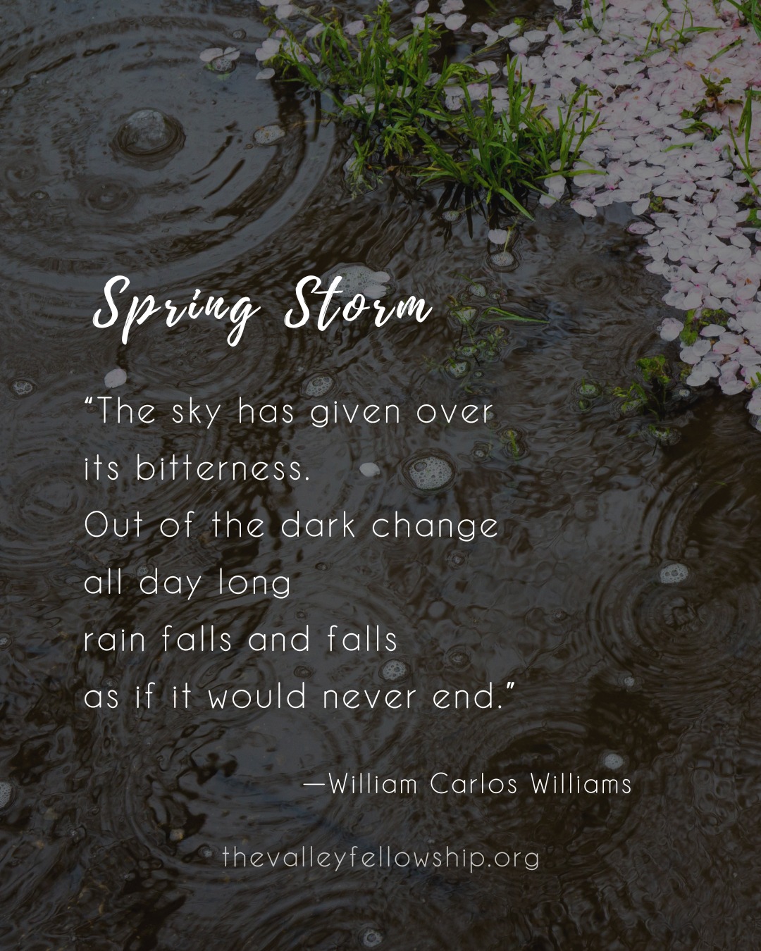 📌 Theme: The restless, unpredictable energy of March.
📖 Poem: Spring Storm by William Carlos Williams
💬 "How do you experience the ‘wildness’ of spring—physically, emotionally, or metaphorically in life?"