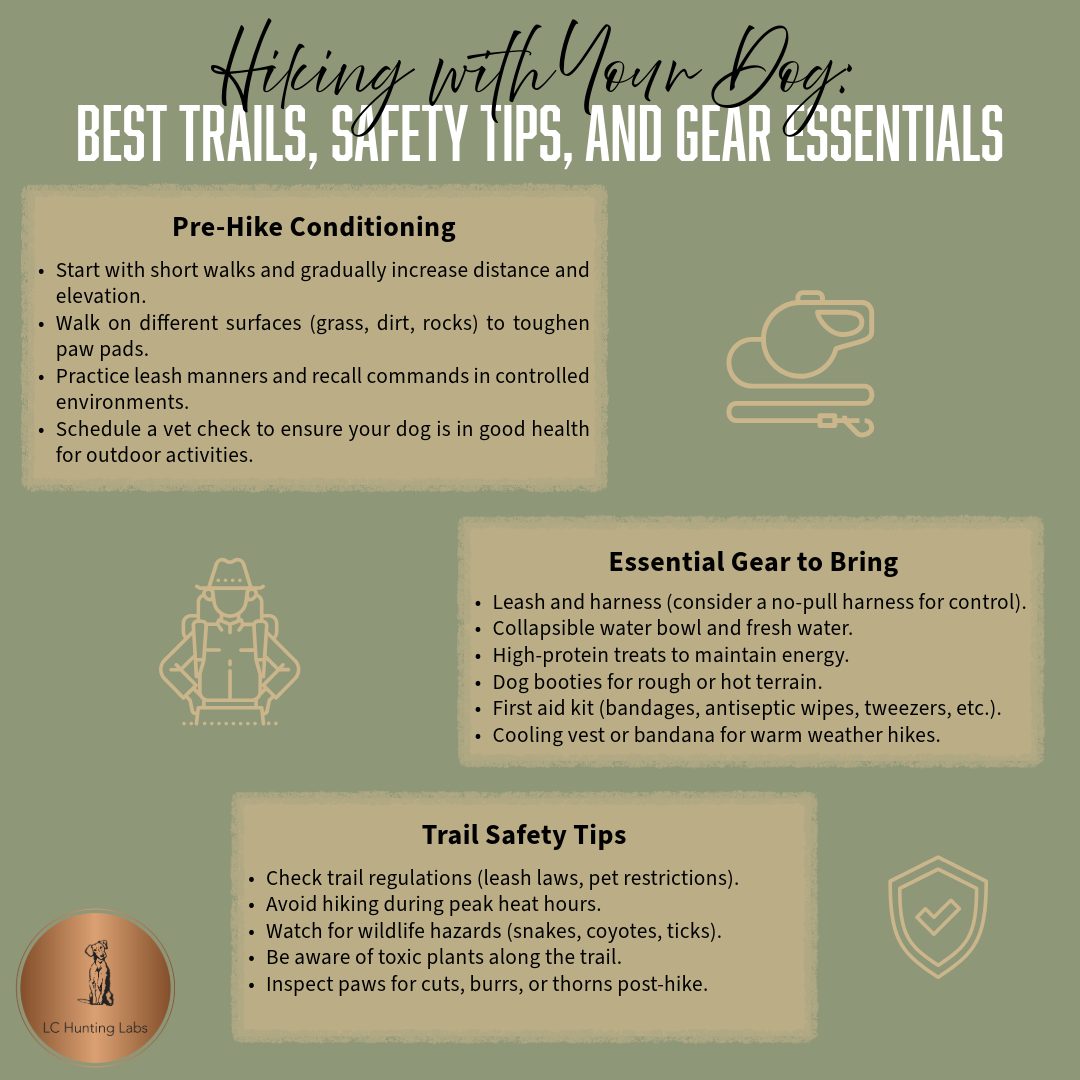 🐕🌄 Adventure awaits! Spring is the perfect time to hit the trails with your dog, but are you prepared? 🌸🏕️
In today’s blog, we’re covering:
✅ Best dog-friendly hiking trails 🏞️
🎒 Essential gear for a safe & fun trek (Don’t forget the water & paw protection!) 🐾
⚠️ Trail safety tips every dog owner should know
🌿 Whether you’re exploring local paths or heading to new destinations, hiking with your pup is a great way to bond and enjoy the outdoors. 🌞🐕
📖 https://www.lchuntinglabs.com/post/hiking-with-your-dog-best-trails-safety-tips-and-gear-essentials
💬 Where’s your favorite place to hike with your dog? Drop your best trail recommendations in the comments! ⬇️🏔️🐶
#HikingWithDogs #OutdoorAdventures #LabradorLife #TrailReady #SpringHiking