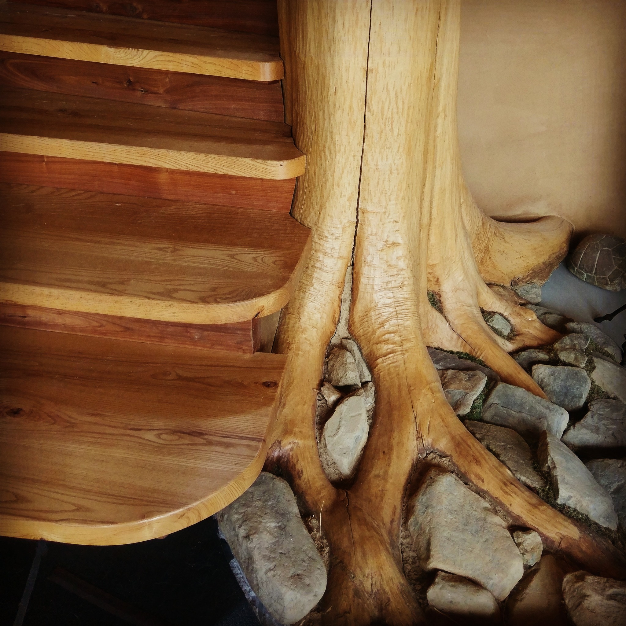 This 28-foot tall tree stands in the center of a #strawbale home I designed in #MD. It supports the second floor framing as well as the roof above. The tree was respectfully harvested from a forest on the #homestead property...including part of the root ball. Then debarked & sealed with hardening oil. The owners then had the idea to surround the exposed roots of the tree with rocks and moss...so it looks like the tree grows out of the ground floor.
Natural building to me is this:
Harvest locally
From materials you find in nature in abundance
Harvest in a manner that does not degrade the ecosystem
And use in a way that ensures #energyefficiency
This house does all of that...Super insulating, lots of clay mass inside, all of the wood harvested locally, passive solar design, and lots of #biomimicry
#buildnaturally #yesyoucan #ilovemyjob #naturalbuilding #naturalarchitecture #healthyhome