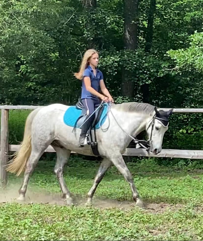 Mossie je neskutečný, pracovitý, chytrý a dobrosrdečný… 🦄🦄🦄🦄