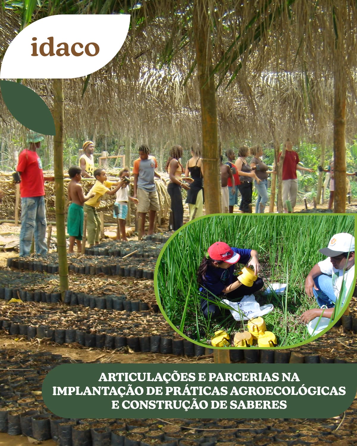 O Idaco sempre investiu em parcerias na busca por aprimorar o desenvolvimento científico-tecnológico e promover a articulação institucional e comunitária, buscando a integração entre os saberes científicos e populares.
Ao longo da nossa história, importantes parcerias institucionais e comunitárias foram estabelecidas, entre estas, destacamos os projetos com o Ministério do Meio Ambiente (MMA), o Instituto Brasileiro do Meio Ambiente (Ibama), a Universidade Federal Rural do Rio de Janeiro (Ufrrj), a Pesagro, o Instituto Estadual do Ambiente (Inea), a Empresa Brasileira de Agropecuária (Embrapa), a Emater/Rio de Janeiro, a Secretaria Municipal de Ciência , Tecnologia e Inovação do Rio de Janeiro (SMCT-PMRJ), o Institut Beleville, Acteurs dans Le Monde Agrícole et Rural (AMAR) e Misereor, entre tantas outras. Do lado comunitário, também destacamos: o Quilombo de Campinho e as comunidade de São Roque, Taquari e Barra Grande (Paraty); a comunidade de Mambucaba (Angra dos Reis) os Assentamentos Sol da Manhã e Casas Altas (Seropédica), a comunidade Vitória da União (Paracambi), os assentamentos de Boa Esperança (Japeri), São Domingos e Capelinha (Conceição do Macabu) e Santo Inácio (Trajano de Moraes), São José da Boa Morte (Cachoeiras do Macacu) e Zumbi dos Palmares (Campos), entre muitos outros.