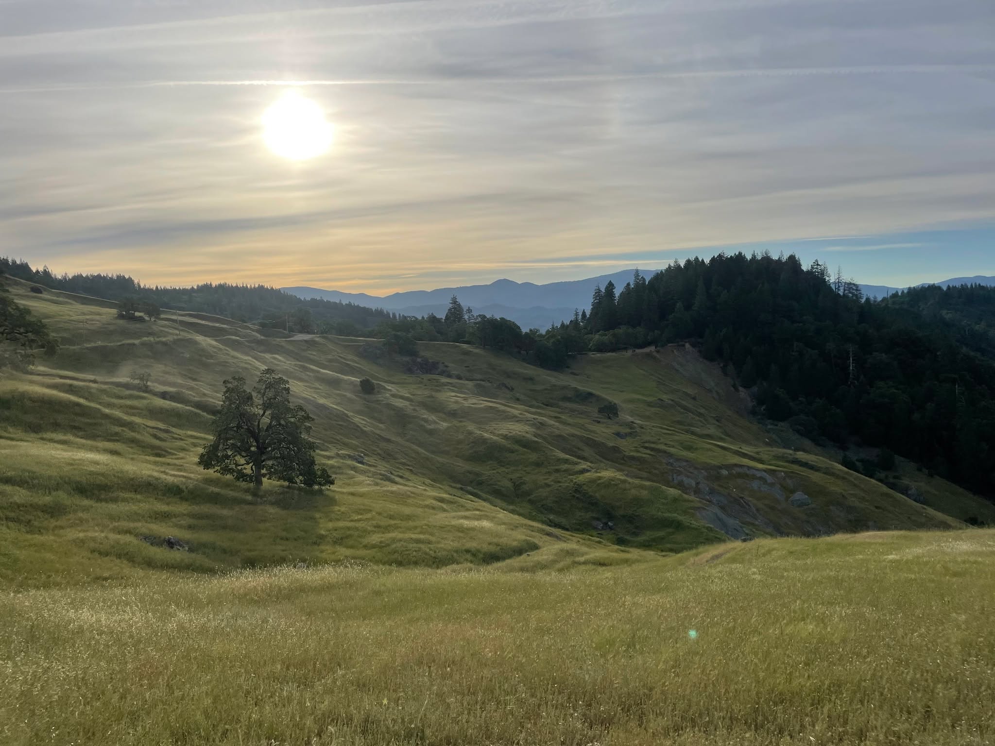 Sometimes its a toss up between a movie scene or a shot from a overlanding trip 🏞
#cypressoverland #overland #overlanding #overlander #4x4 #4x4overlanding #overlandlife #vanlife #roadtrip #getaway #jeepcamping #bucketlist #westcoast #campervan #camperlife #campinglife #travelgram #california #californiaadventure #californiadreaming #visitcalifornia #dothebay #sanfrancisco #sandiego