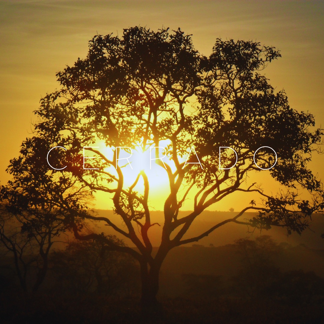 "Endless horizons, golden savannas. 🌾🌞 The 'Cerrado' bag embodies the resilience and beauty of Brazil’s vast and diverse savanna biome."
"Home to unique species and breathtaking landscapes, the Cerrado is the soul of Brazil’s interior. 🌻 Carry a piece of this incredible biome with our 'Cerrado' bag."
#SustainableFashion
#HandmadeBags
#EcoFriendlyStyle
#SlowFashionMovement
#ArtisanMade
#BrazilianNature
#BiomaCollection
#EcoChicAccessories
#EmpoweringWomen
#InspiredByNature
#SustainableStyle
#EcoFashion
#HandmadeAccessories
#WestCoastStyle
#EastCoastChic
#ConsciousConsumer
#MinimalistFashion
#EthicalFashionBrands
#EcoFriendlyLiving
#ArtisanCrafted