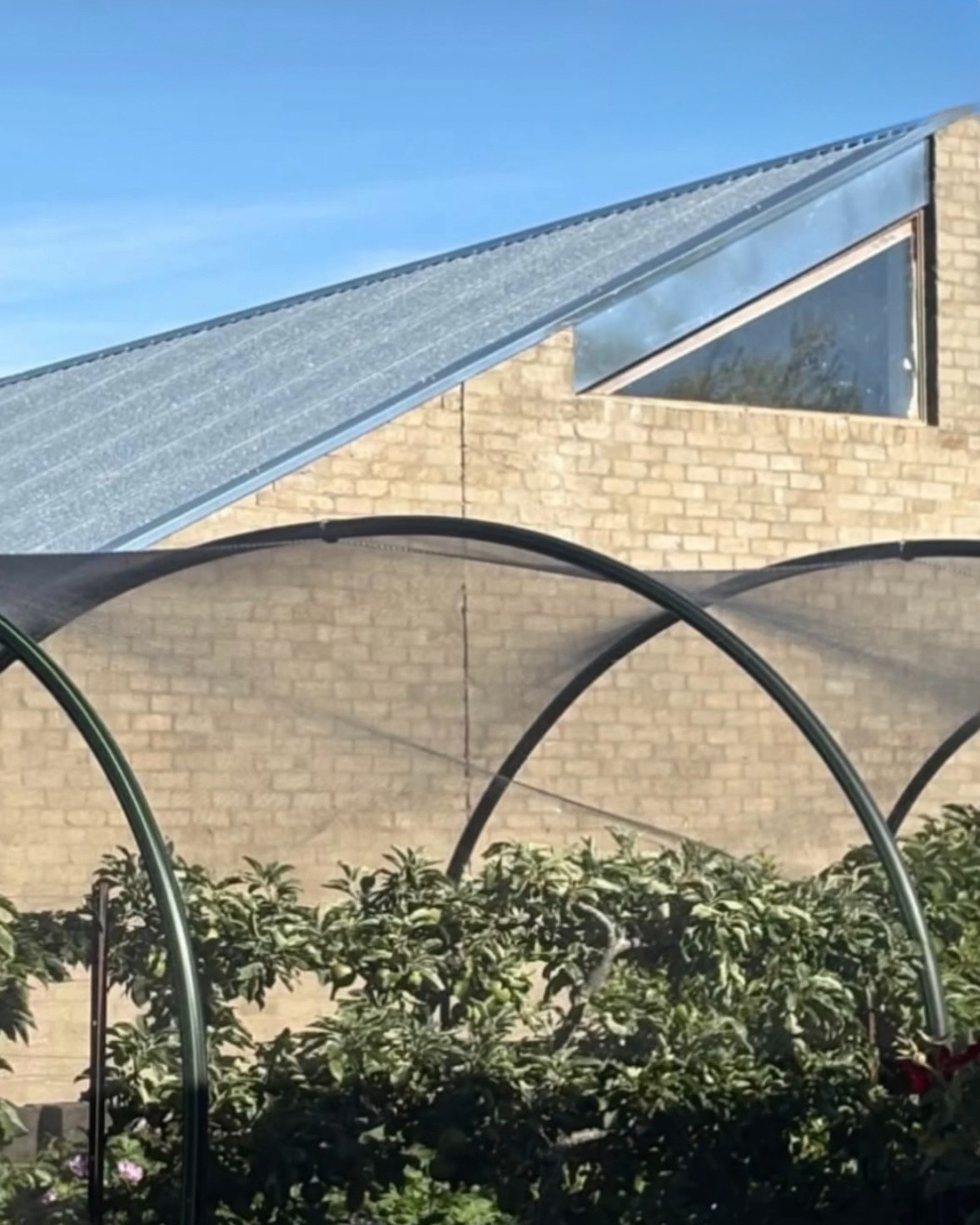 "Galvanised steel is back!"
We're loving the Modern Industrial look of our latest roof install project in Kyneton, completed for @builders_of_architecture
#GalvanisedSteel #Roofing #NewBuild #Kyneton #Newhome #woodendroofer #macedonrangesroofer #newhomeconstruction #MacedonRangesPlumber